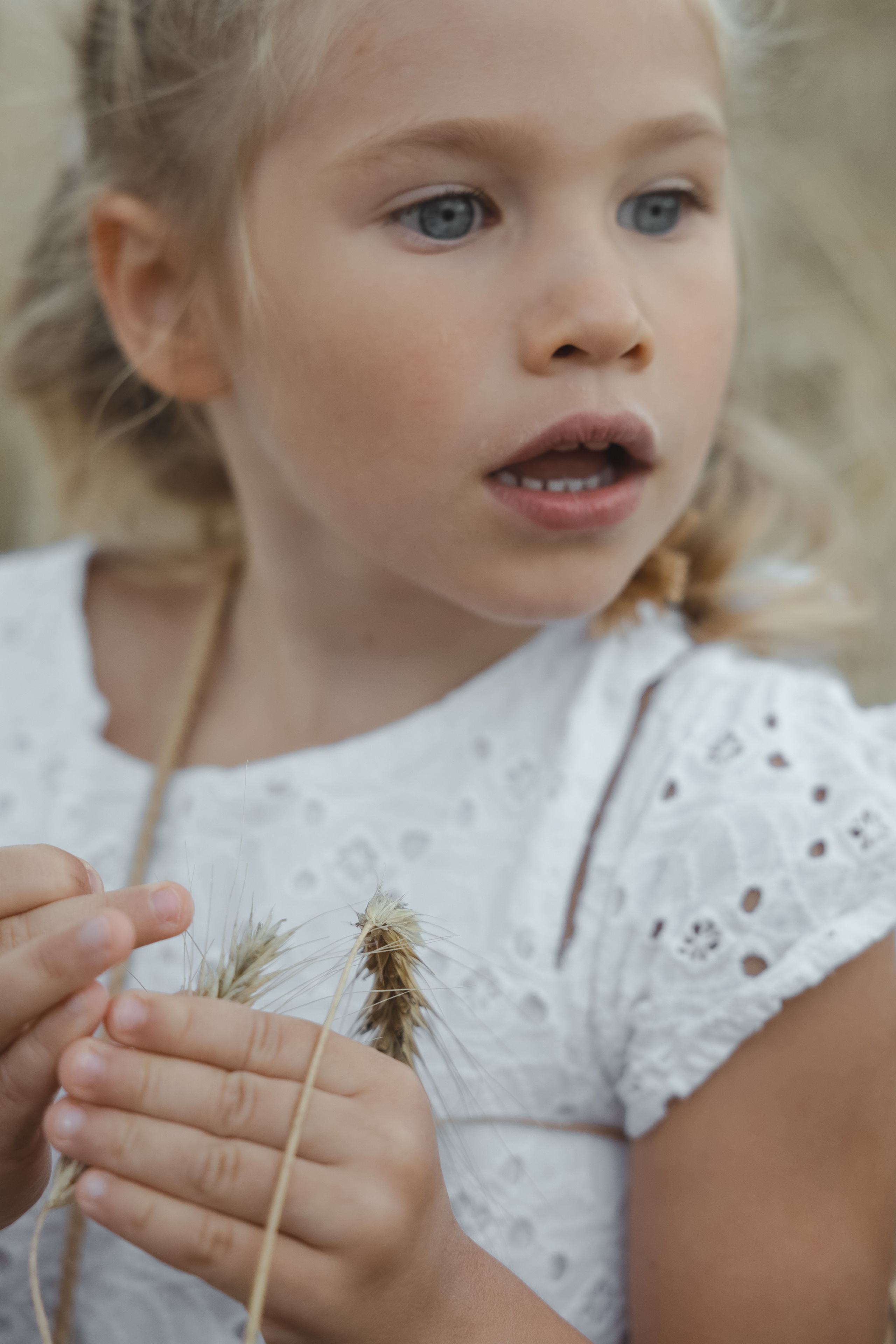 Девочки в поле. Семейный фотограф в городе Тула Любовь Сабирова