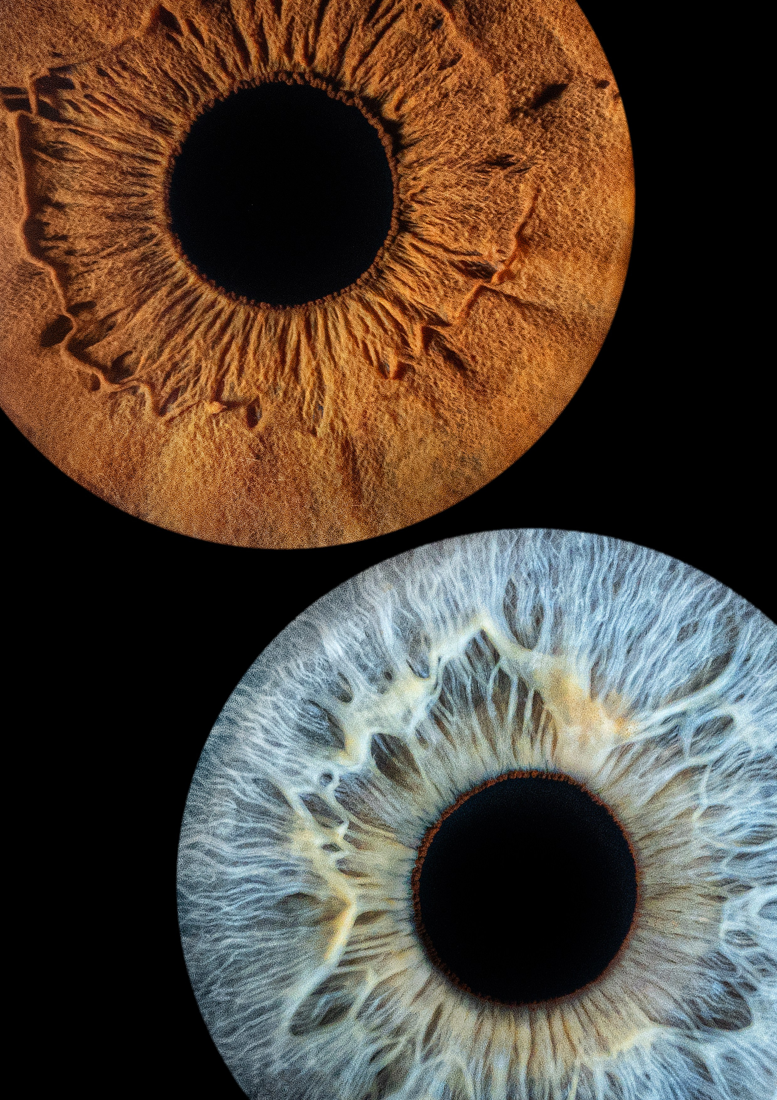 Примеры работ. Мой глаз