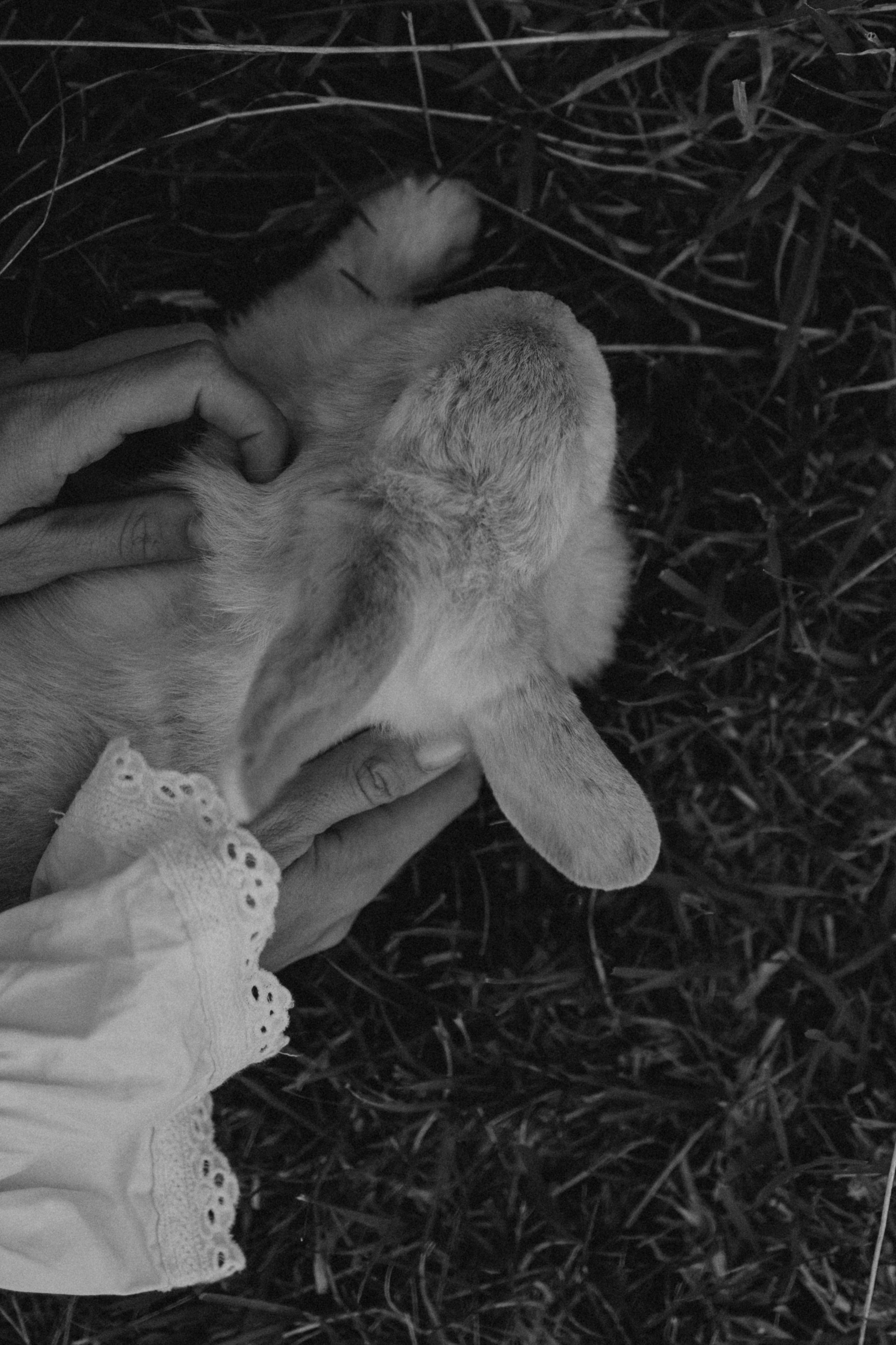 Семейная. Фотораф — анималист Мария Шистка