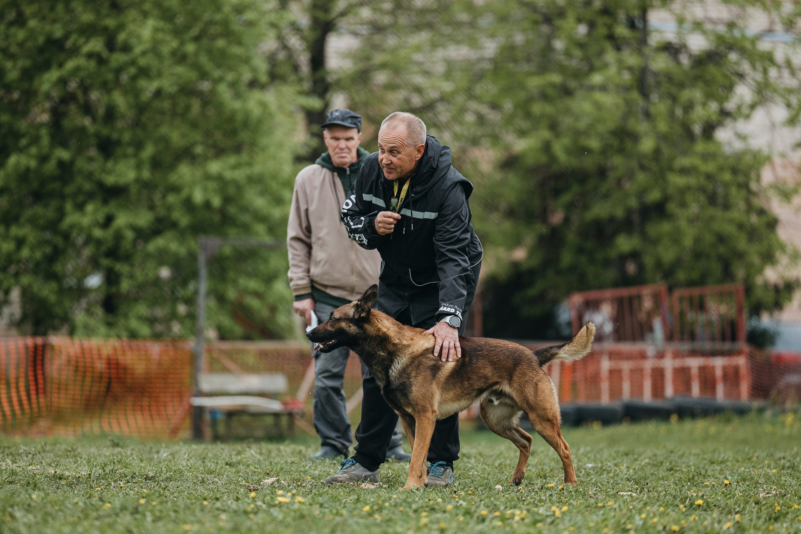 26.05.25 г. Пушкин квалификационные соревнования. Фотограф-анималист Анна Маринич