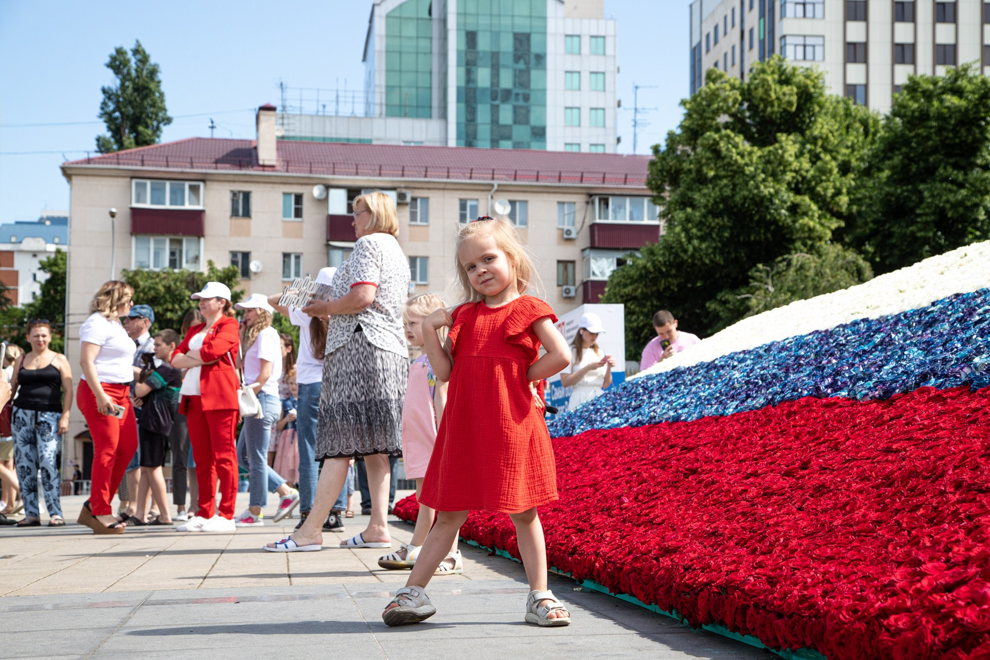 Триколор России из роз. Репортажный, промышленный и маркетплейс-фотограф Дмитрий Чернат