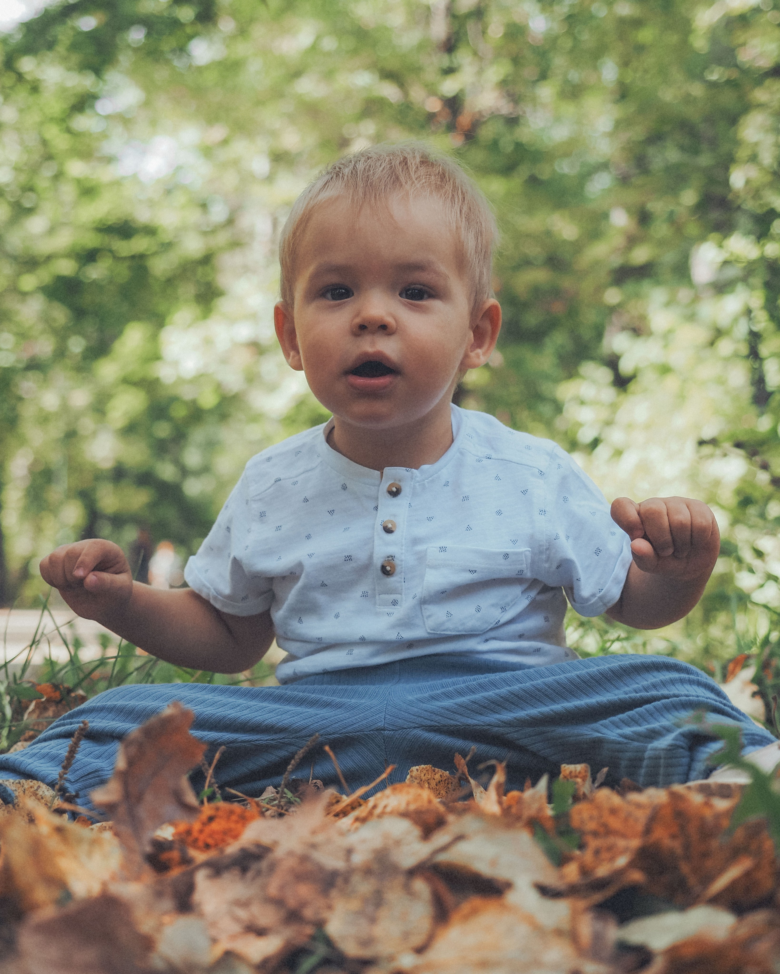 Привет осень!. Фотограф в Москве — Сергей Люкшинов