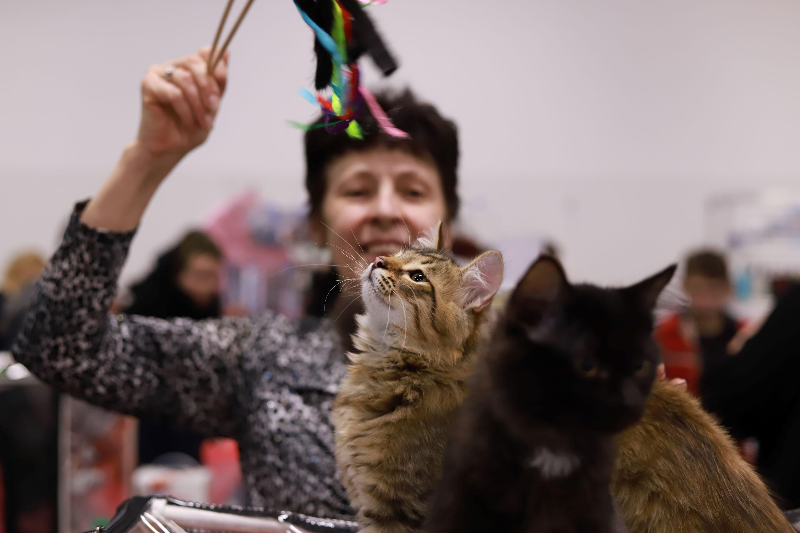 Репортажный фотограф, фотограф на мероприятие, съемка мероприятий, съемка праздников, репортажный фотограф Москва