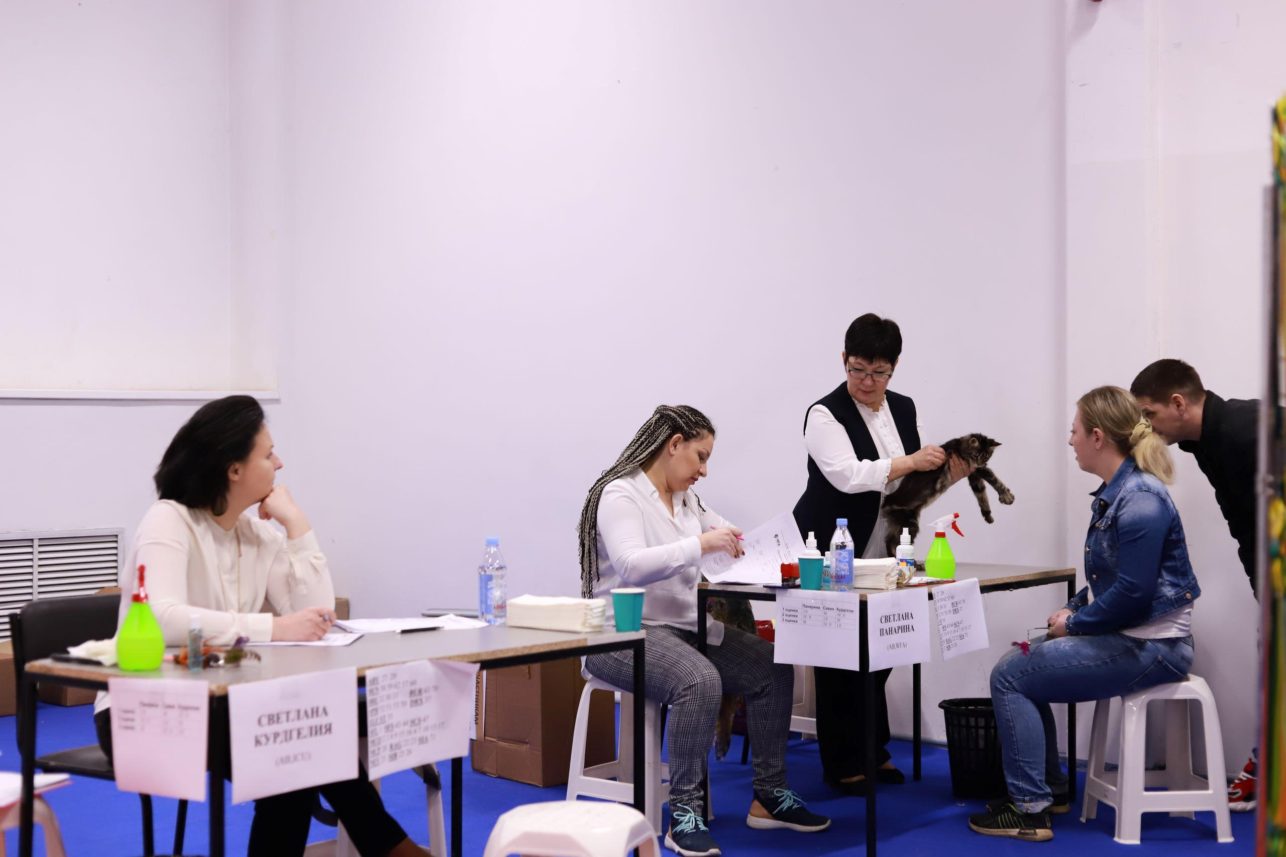 Репортажный фотограф, фотограф на мероприятие, съемка мероприятий, съемка праздников, репортажный фотограф Москва