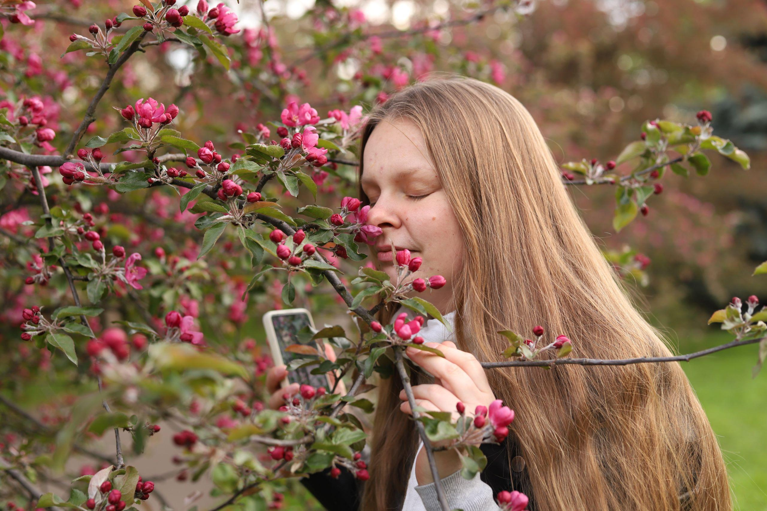 Цветочные истории. Фотограф Анастасия Федорченко г. Москва