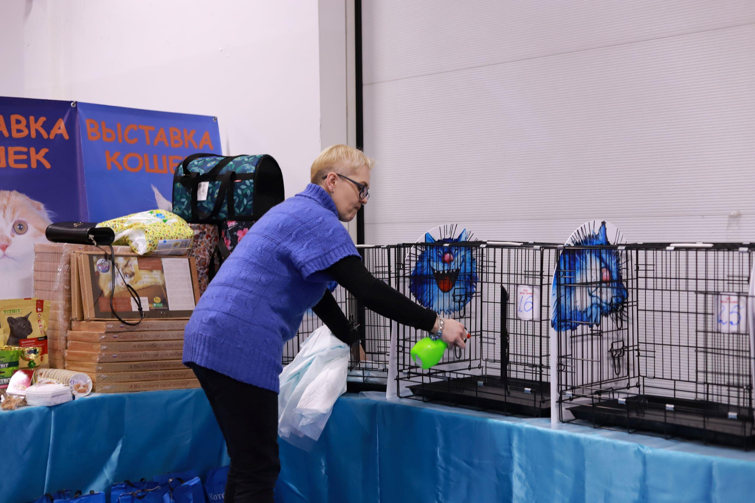 Репортажный фотограф, фотограф на мероприятие, съемка мероприятий, съемка праздников, репортажный фотограф Москва