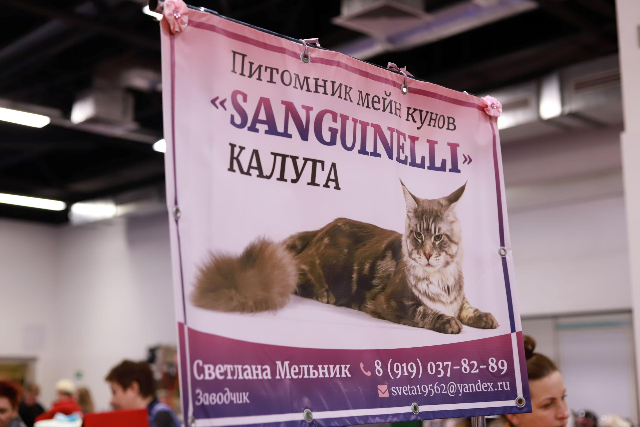 Репортажный фотограф, фотограф на мероприятие, съемка мероприятий, съемка праздников, репортажный фотограф Москва