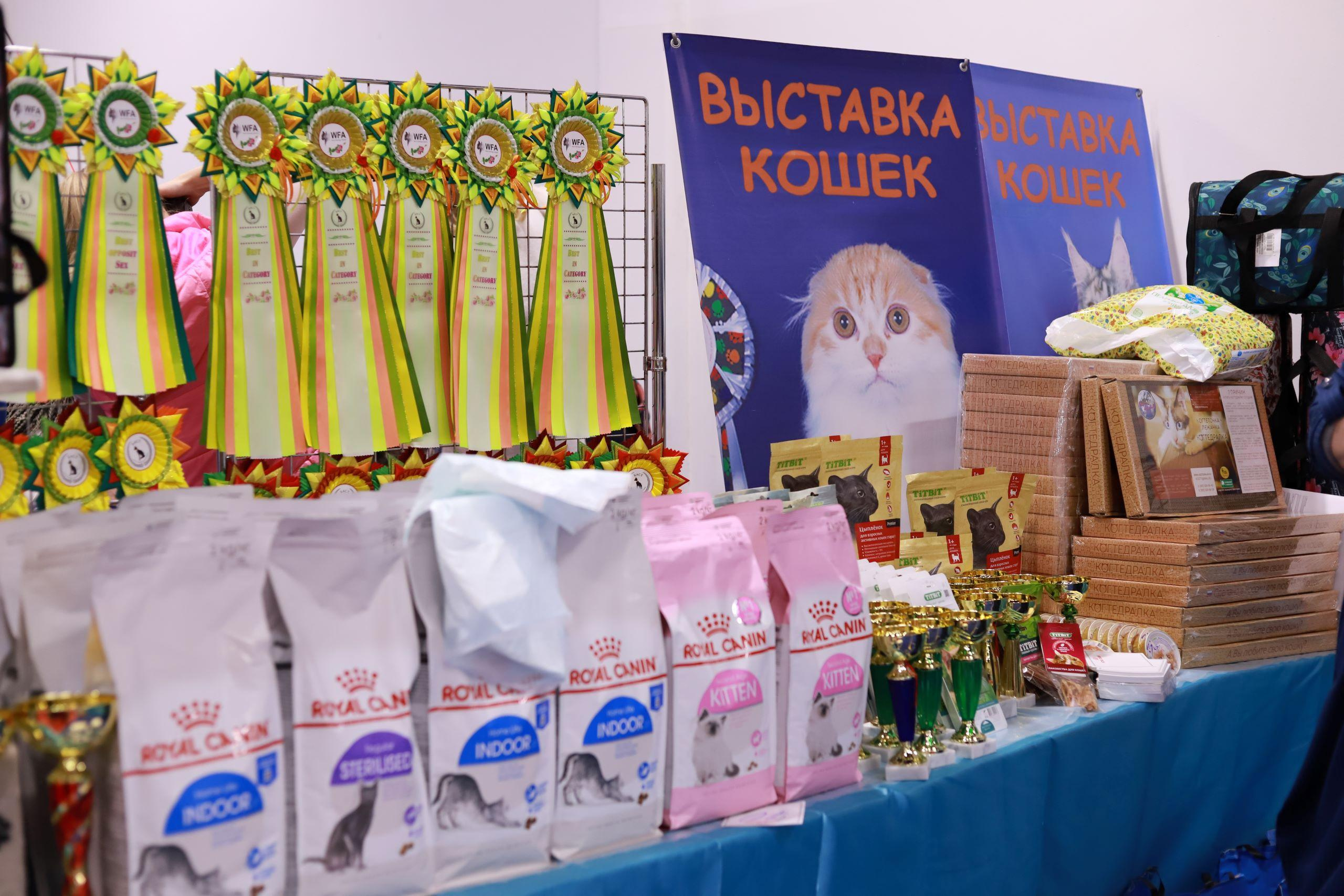 Репортажный фотограф, фотограф на мероприятие, съемка мероприятий, съемка праздников, репортажный фотограф Москва