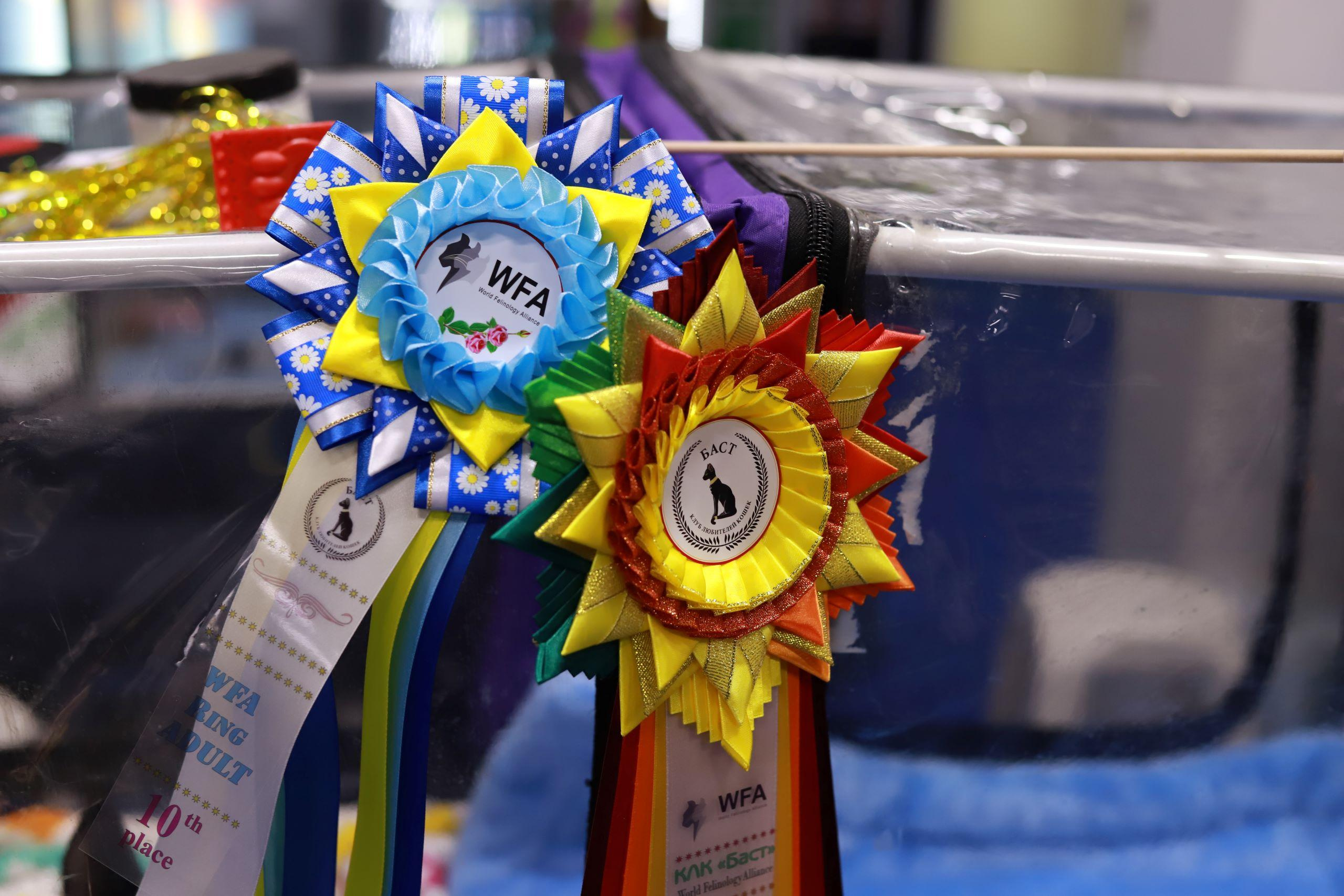 Репортажный фотограф, фотограф на мероприятие, съемка мероприятий, съемка праздников, репортажный фотограф Москва