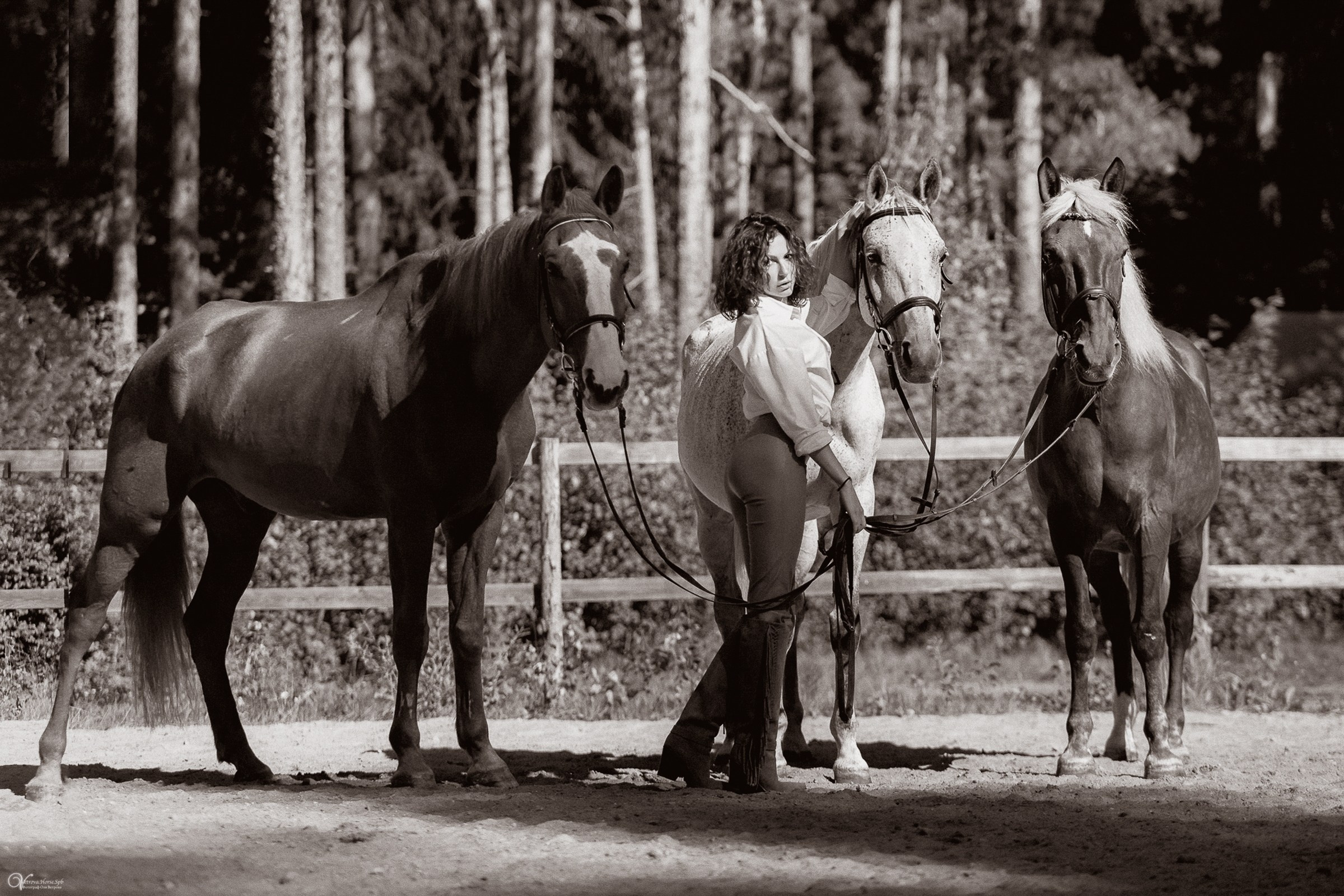 Фотосессия с лошадьми в кантри стиле. Фотограф женский и мужской портрет Санкт-Петербург