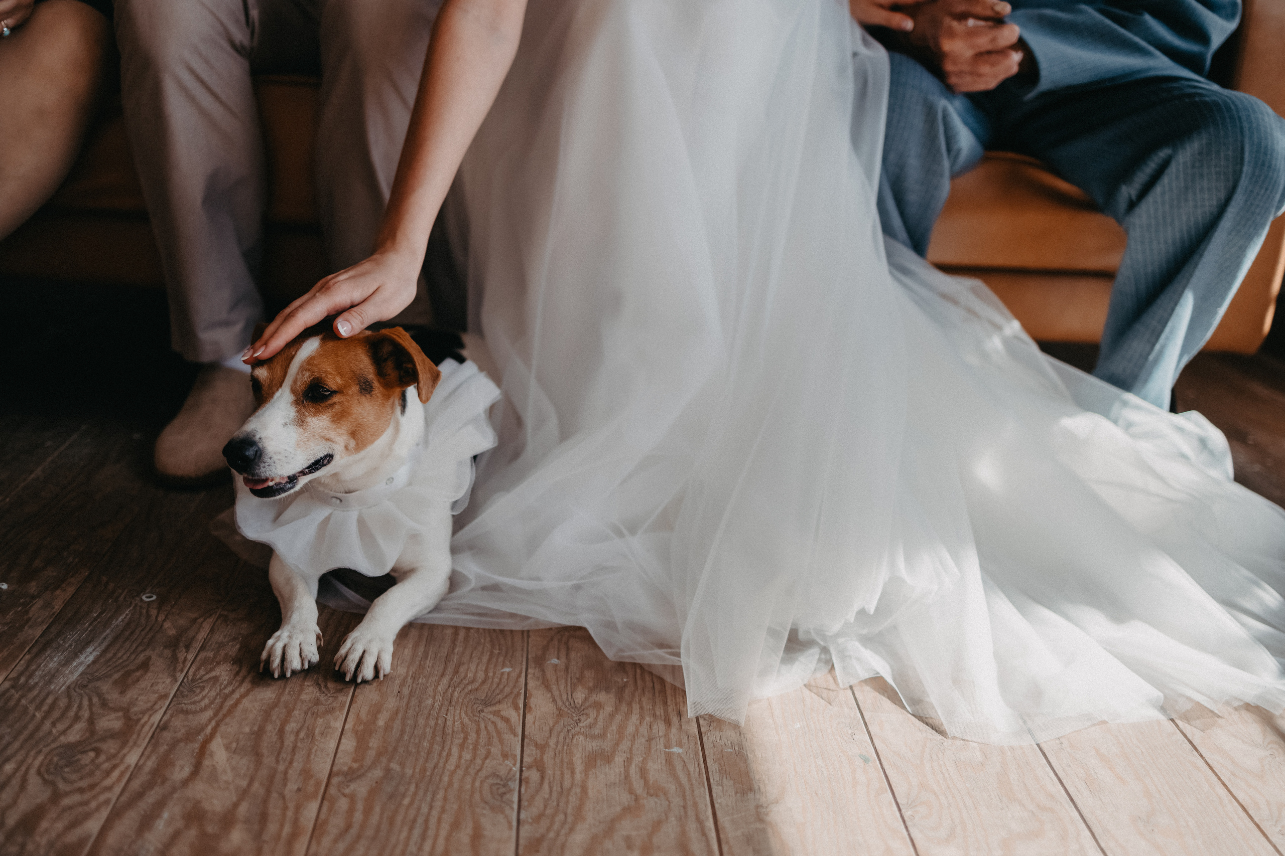 Теплая душевная свадьба в Красноярске. Свадебный фотограф-видеограф в Красноярске Евгений Константинопольский