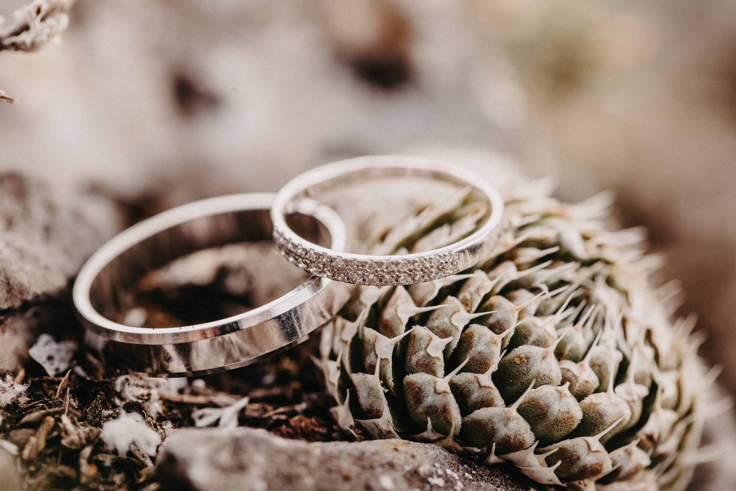 Теплая душевная свадьба в Красноярске. Свадебный фотограф-видеограф в Красноярске Евгений Константинопольский