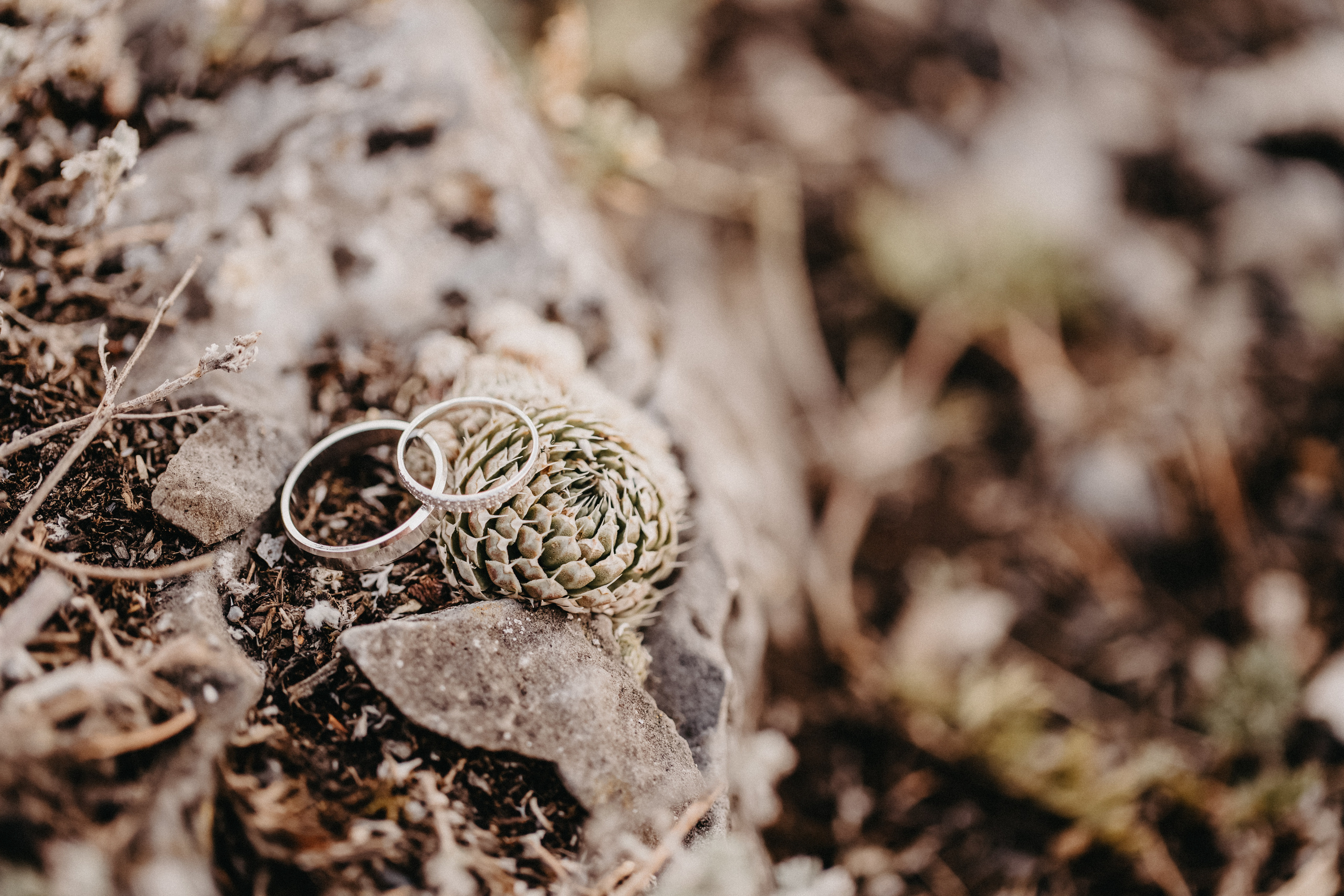 Теплая душевная свадьба в Красноярске. Свадебный фотограф-видеограф в Красноярске Евгений Константинопольский