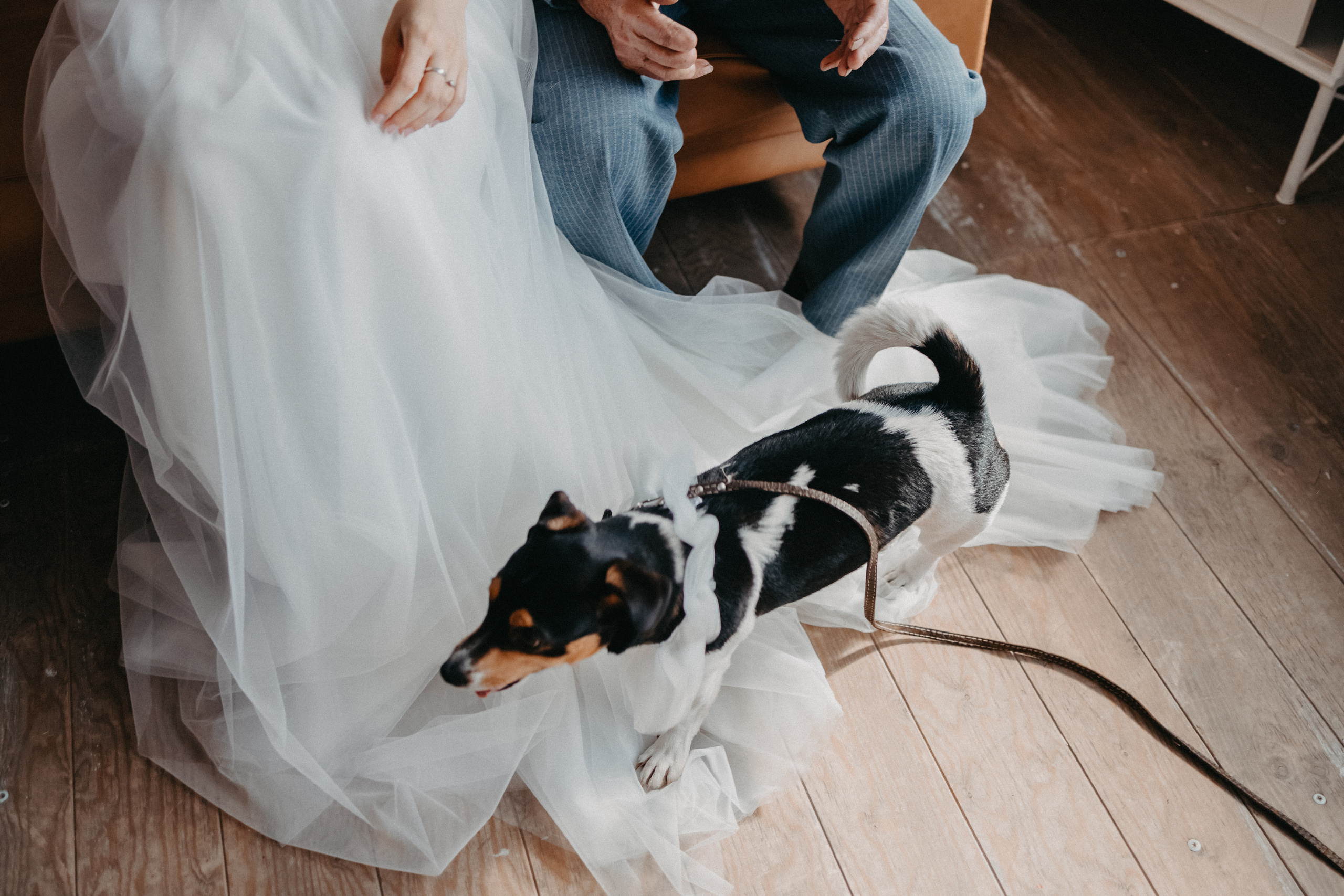 Теплая душевная свадьба в Красноярске. Свадебный фотограф-видеограф в Красноярске Евгений Константинопольский