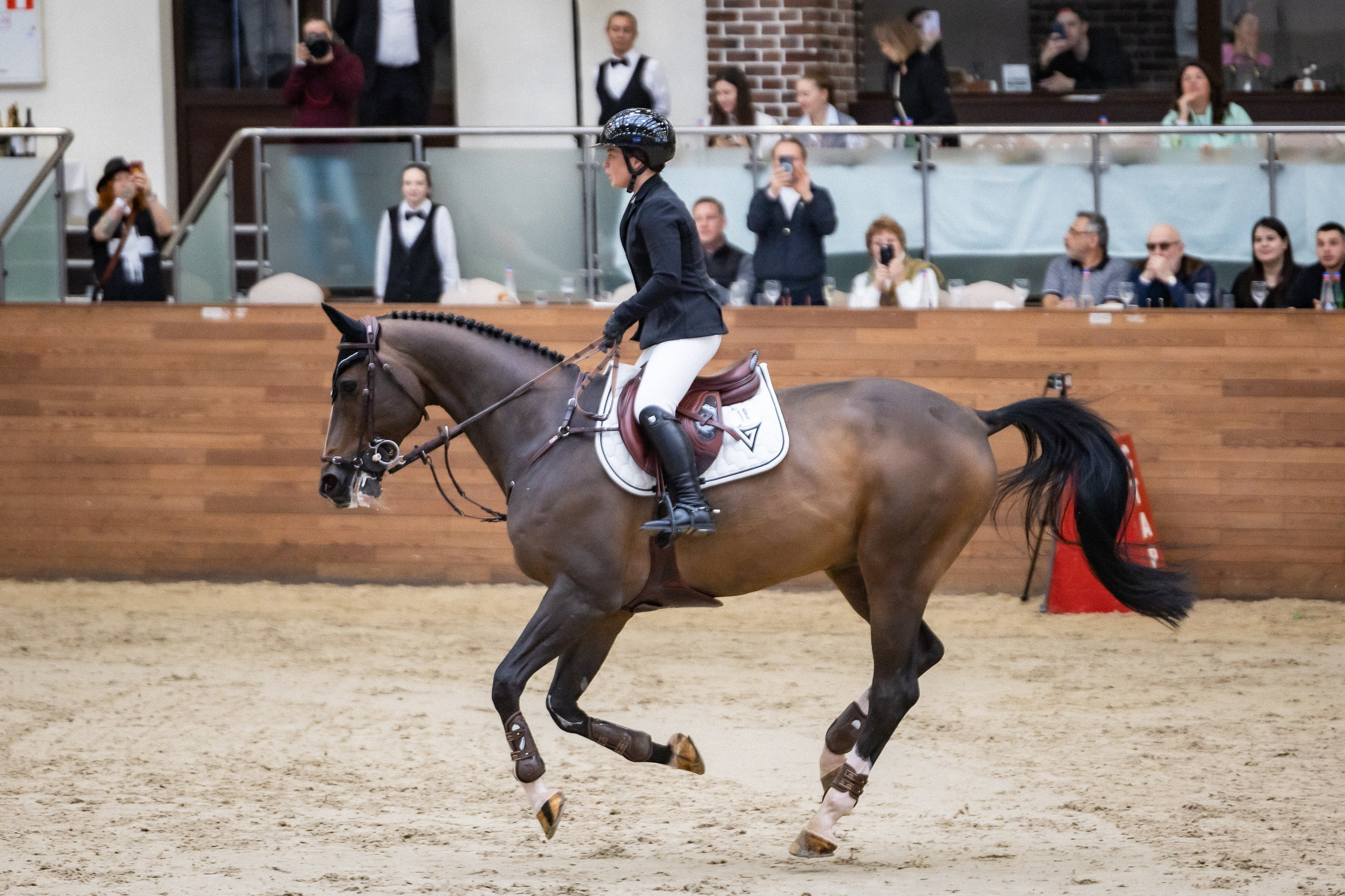 Кубок Кремля по Конкуру 12.04.25. Фотограф Владимир Охрименко
