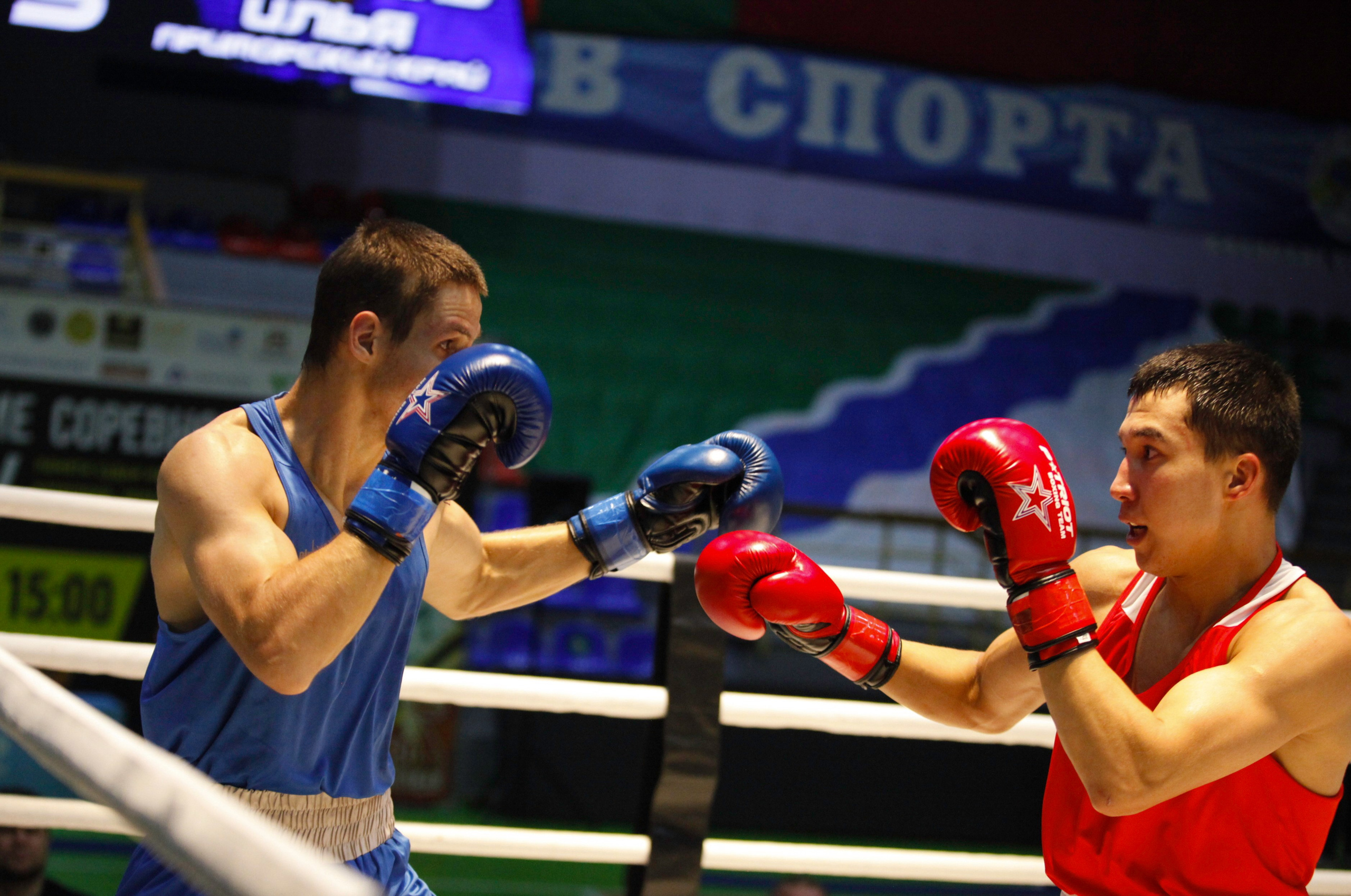БОКС. Фото. Спортивный фотограф, трансляция, звук и свет в Новосибирске