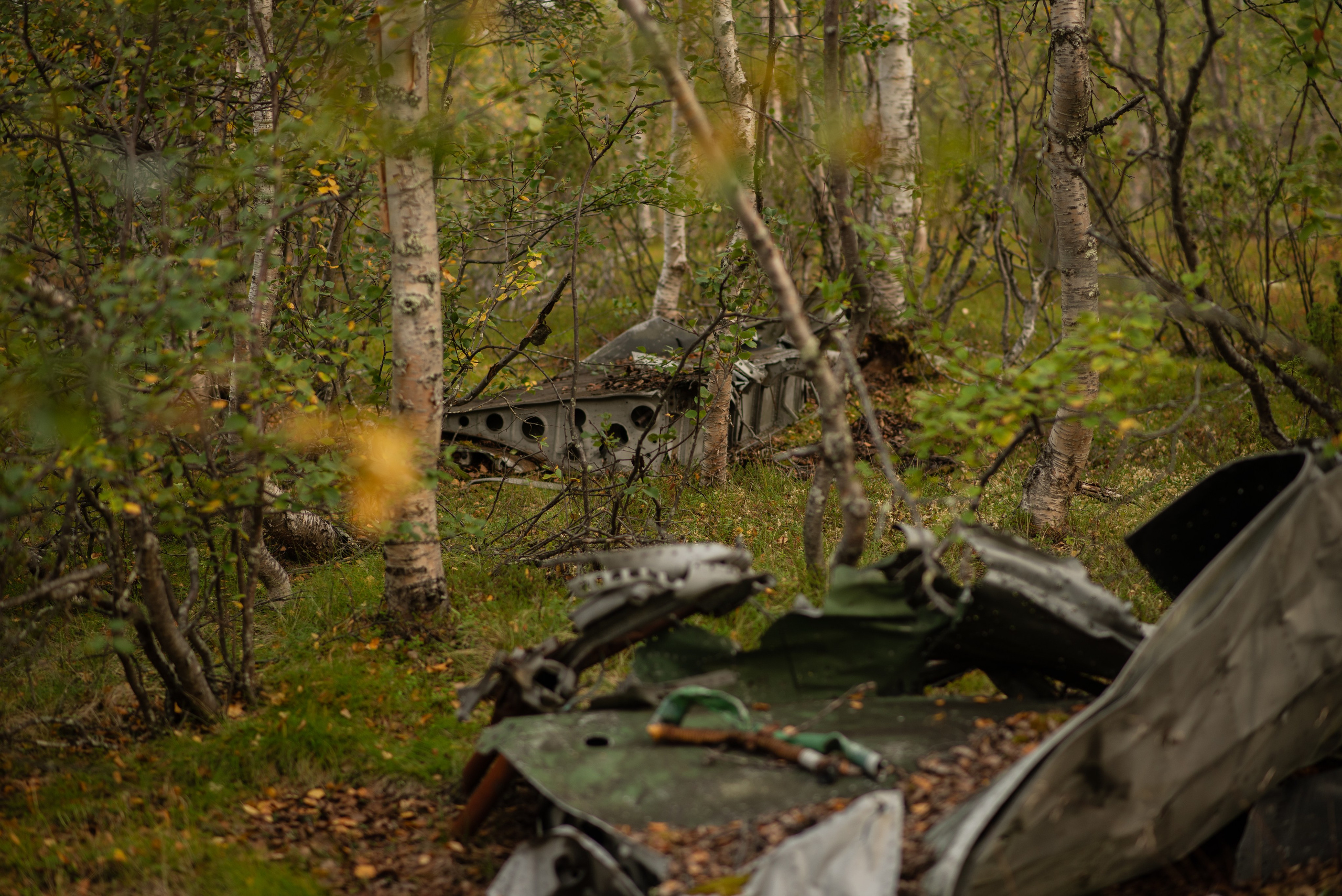 Заполярье. Мурманская область. Поселок Луостари. Река Титовка. Озеро Вайявр. Гора Нармвара. 18–28 августа 2024 г. Юлия Щёкотова | Портретный и семейный фотограф | Вологда