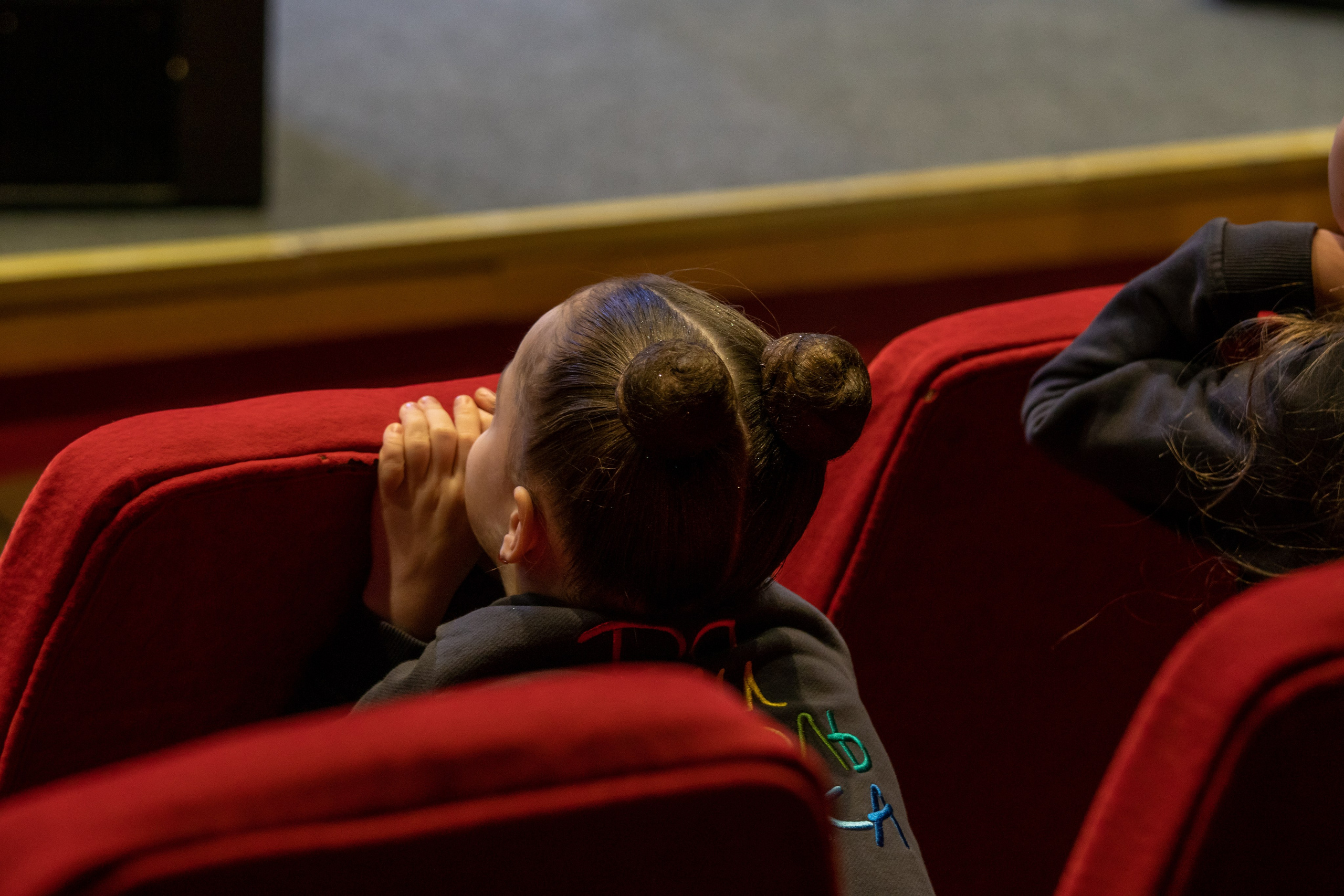 Съёмка концерта Домисольки с оркестром. «Студия DRONAVT`s» — видеосъёмка и фотография г. Москва