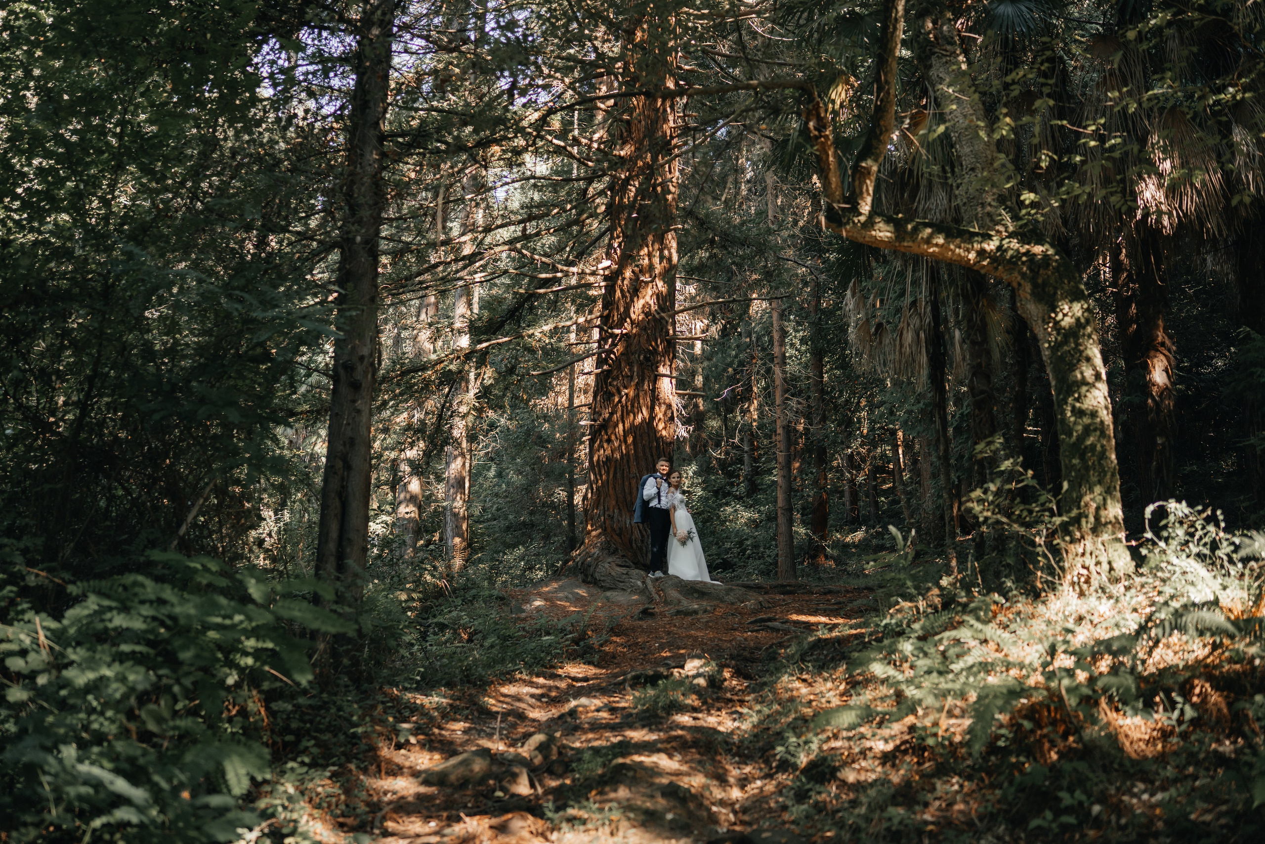 Свадьба Дмитрия и Алёны. Главная