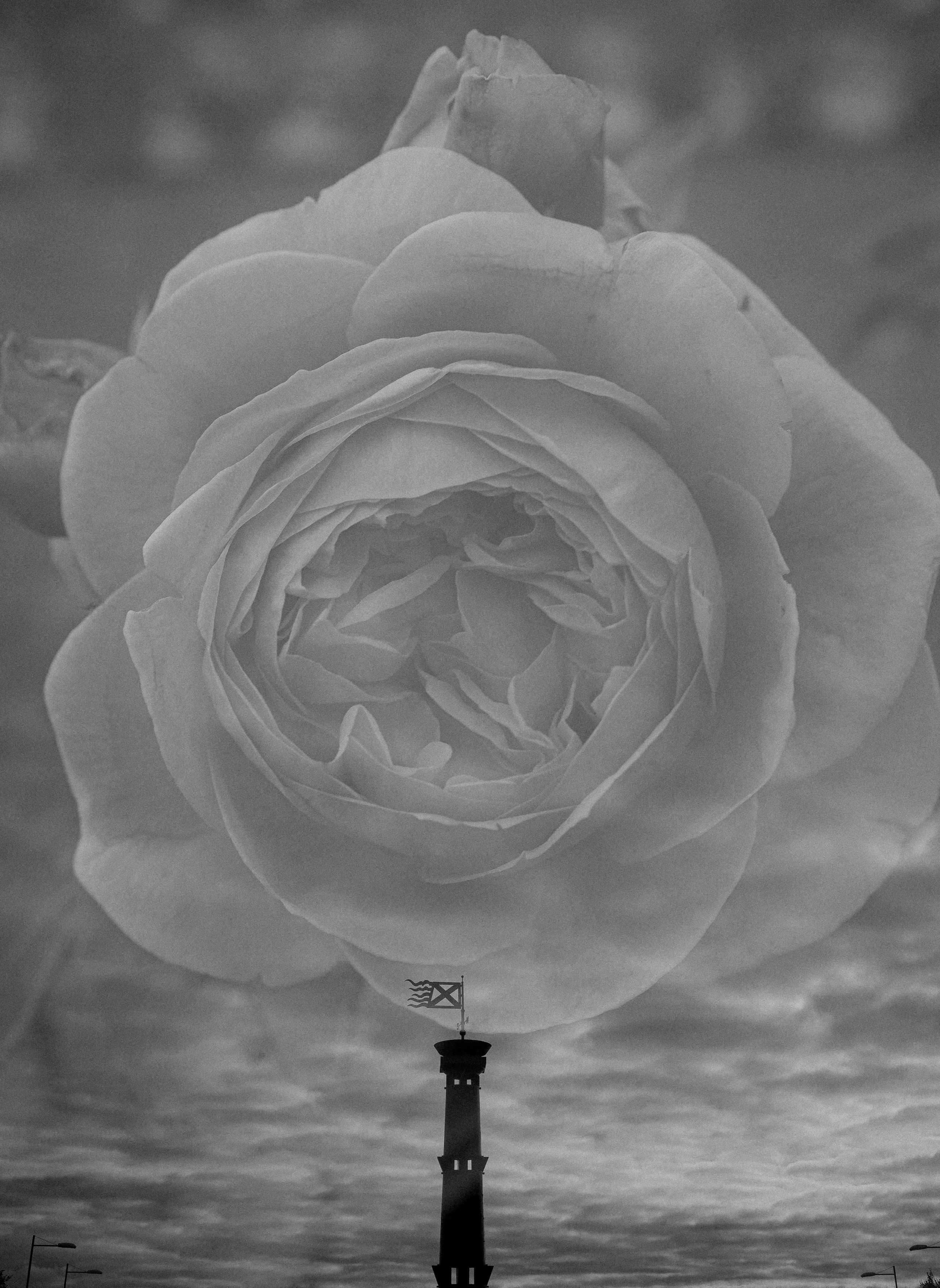 Природа &. Фотохудожник в СПб