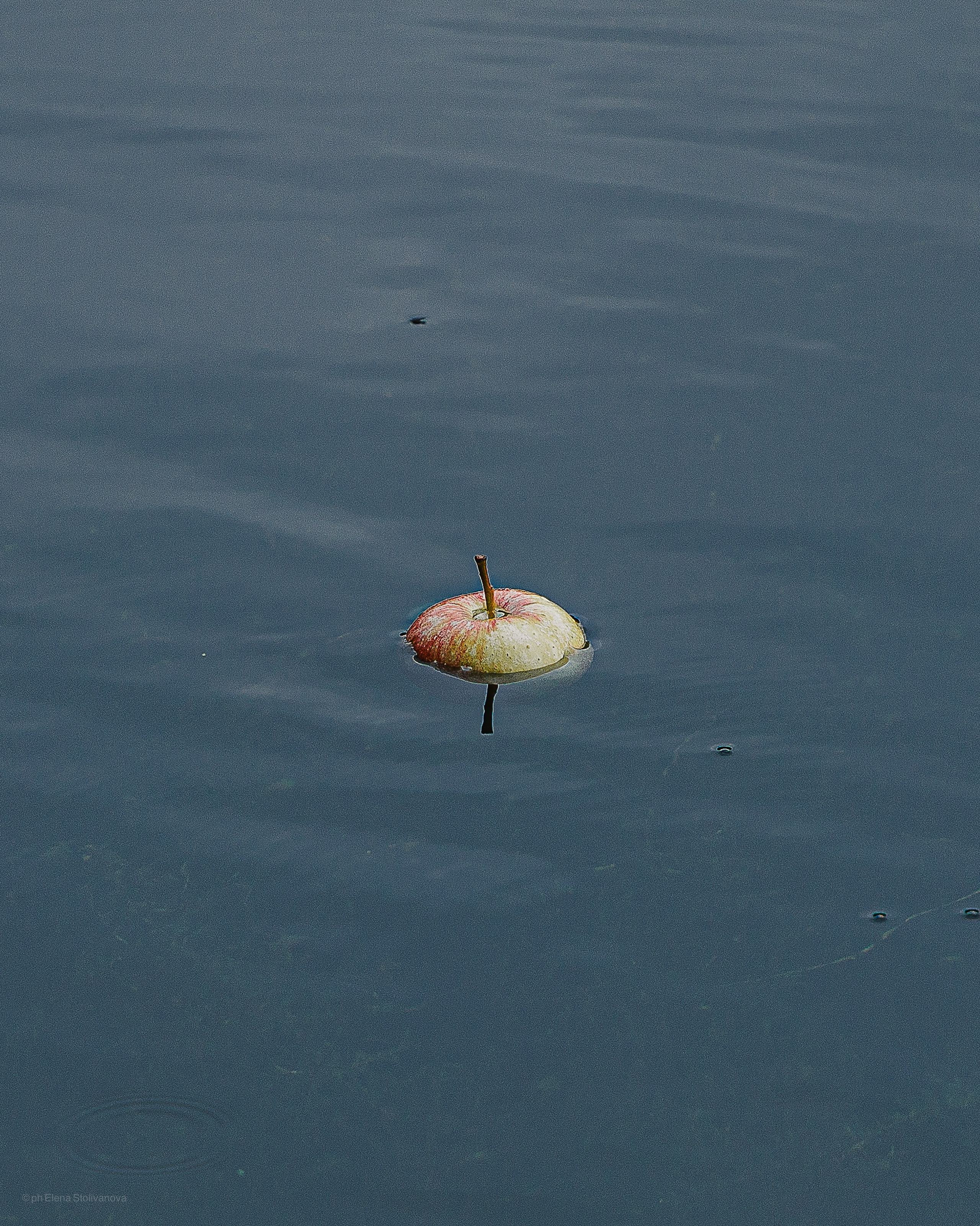 Максим. Портретный фотограф Москва | Елена Столиванова