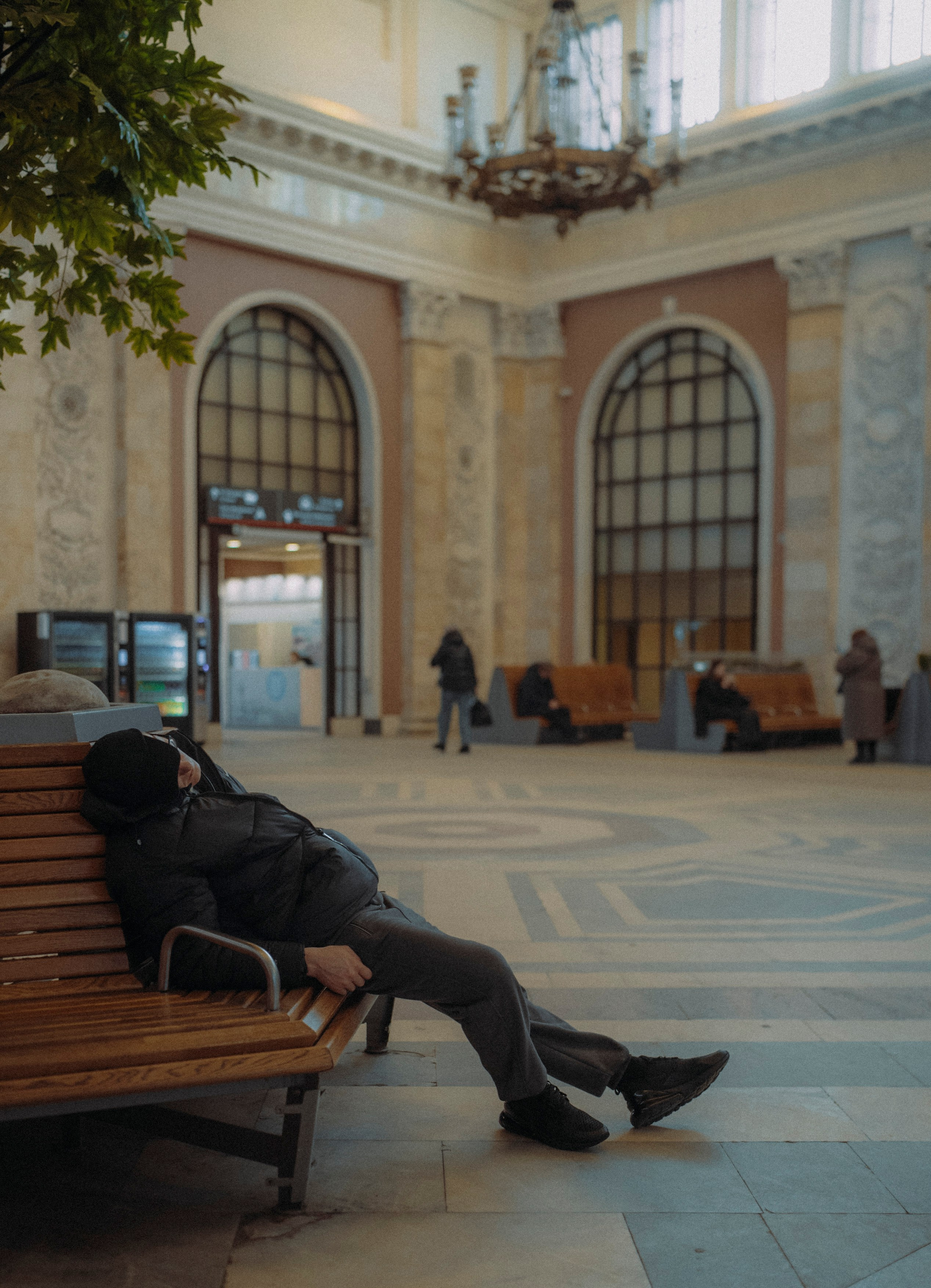 2026. Стрит-фотография, полная абсурда, идиотизма и красоты