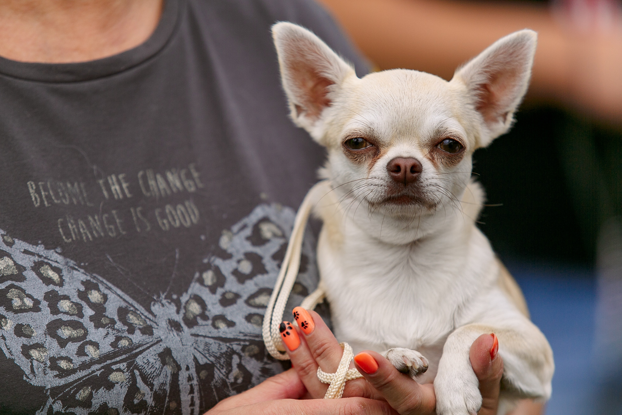 Окунулась вновь в атмосферу выставки…. Школьный фотограф в Туле Светлана Привезенцева