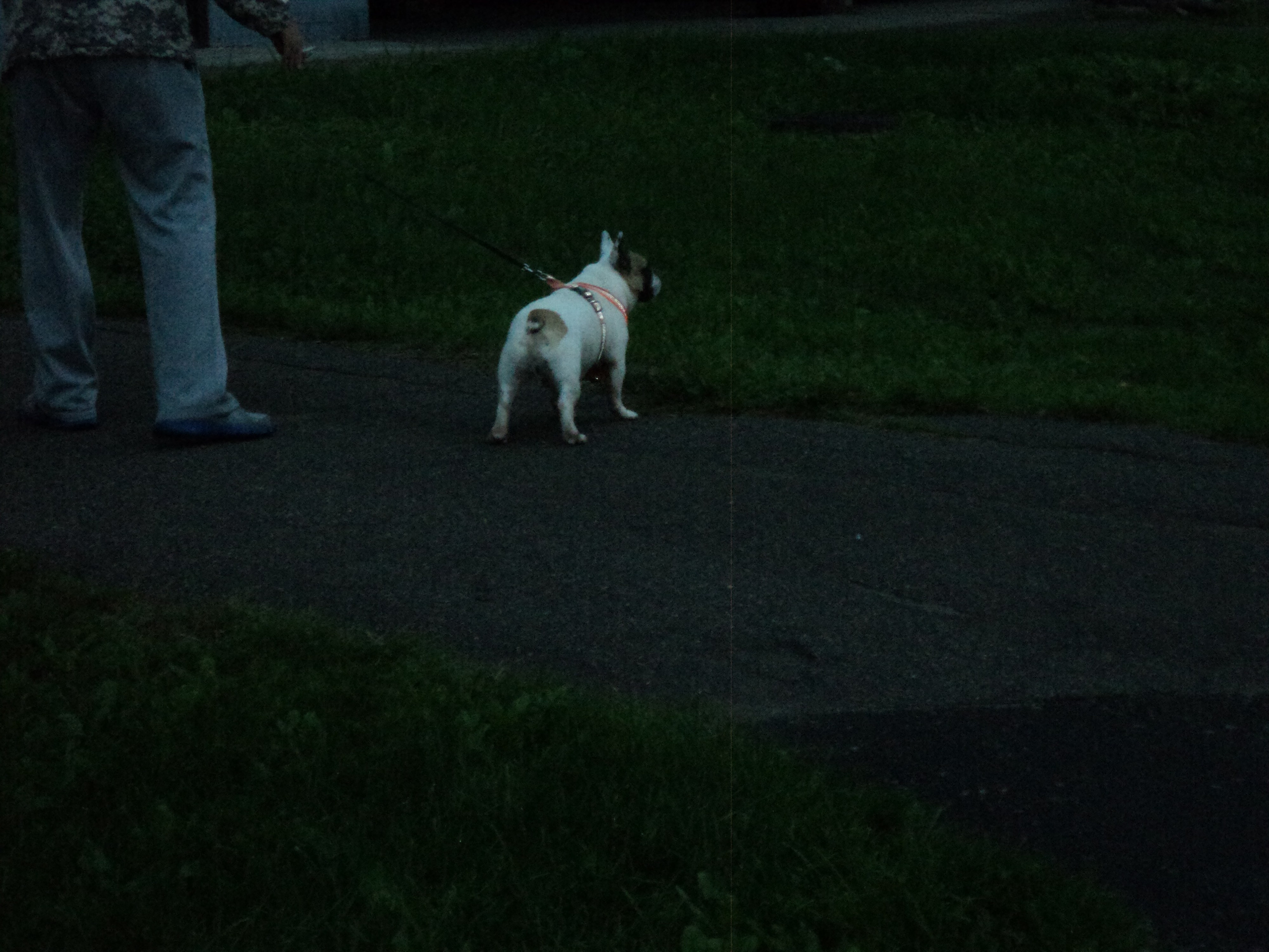 Август 2025. Den Mirov — Фотограф, Музыкант