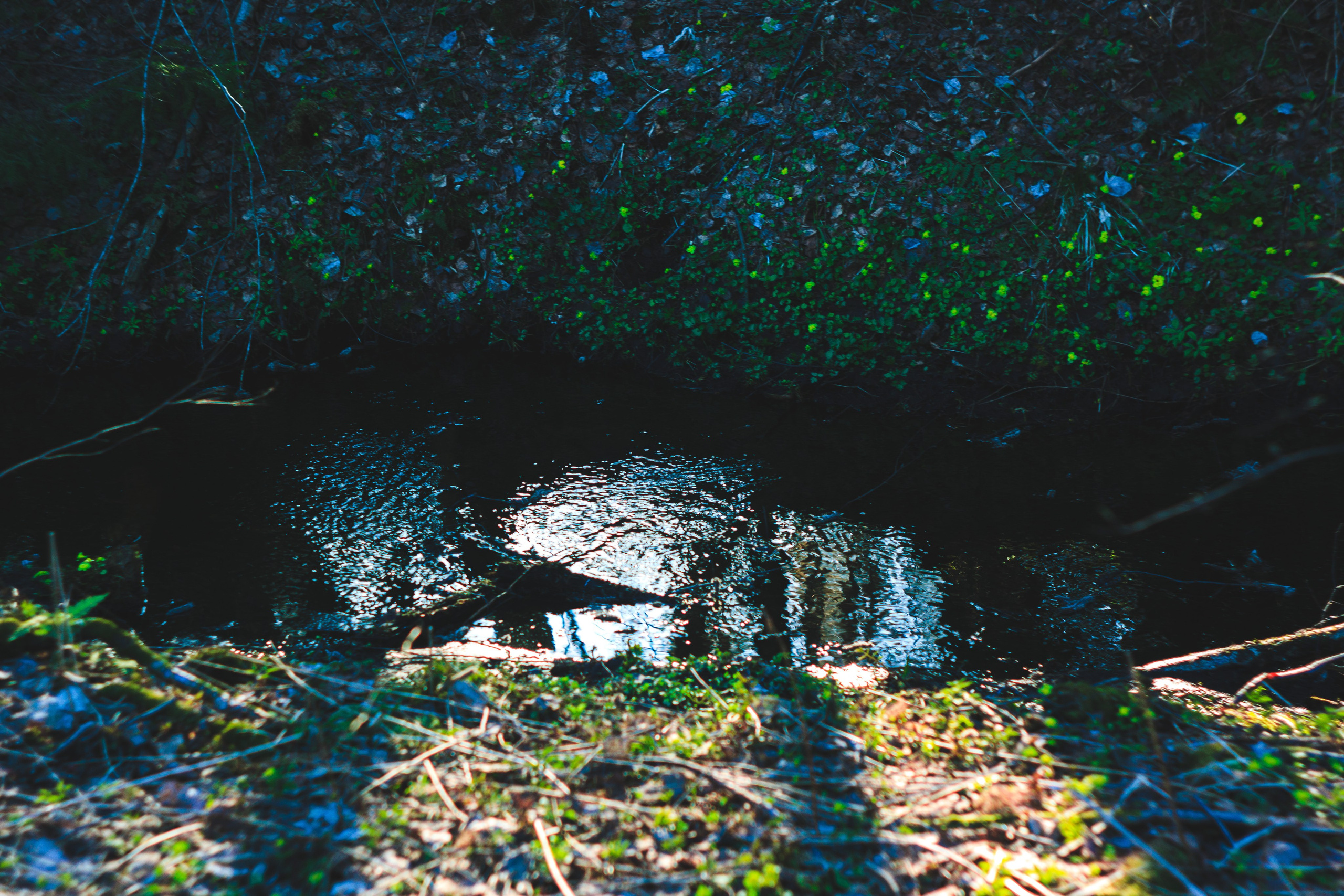 Пара… ПараПам. Den Mirov — Фотограф, Музыкант