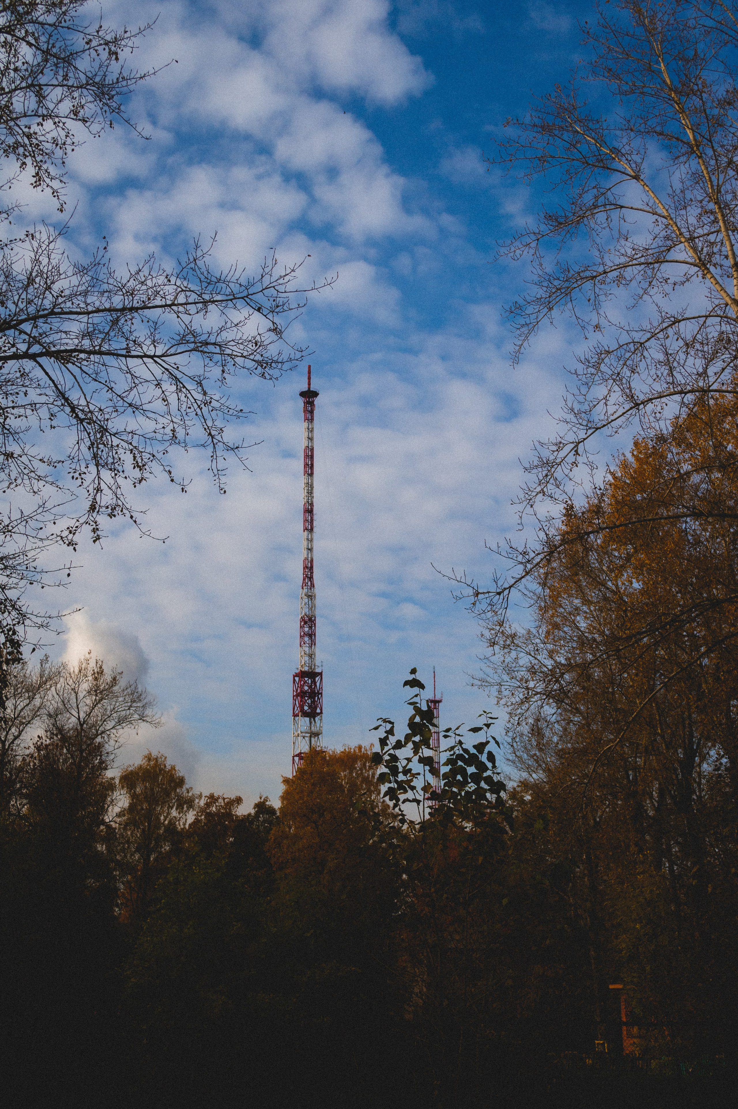 Октябрь 2025. Den Mirov — Фотограф, Музыкант