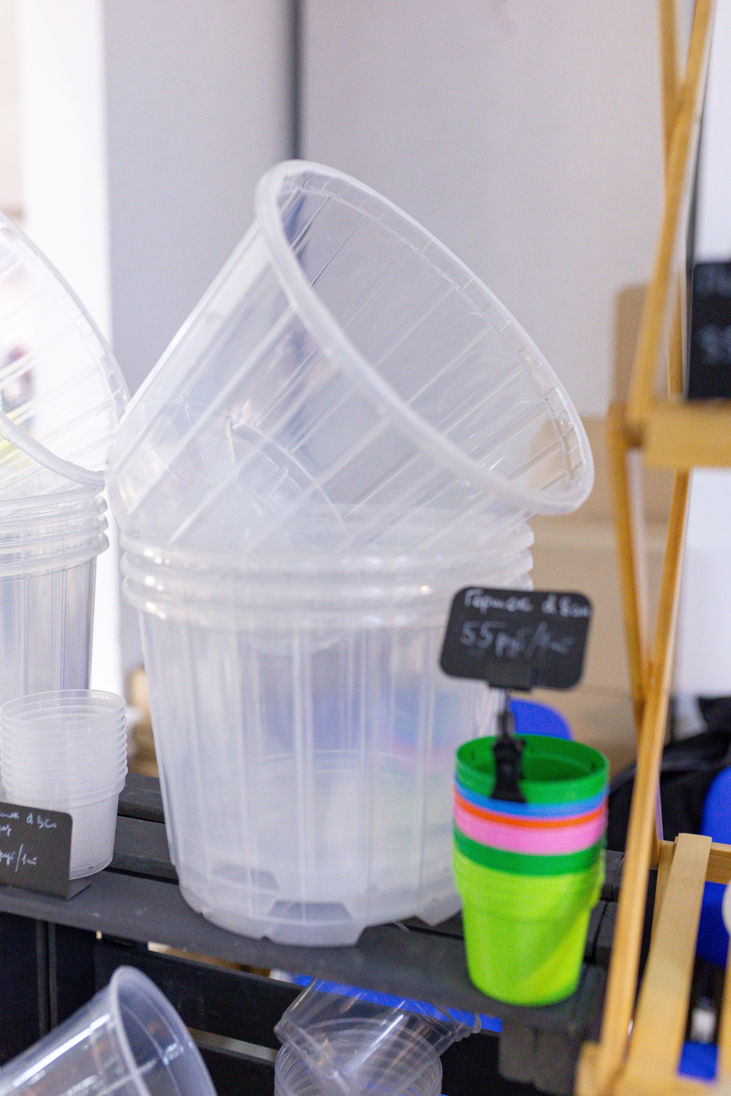 Орхидиум 12.2025. Александра Куликова фотограф, Москва