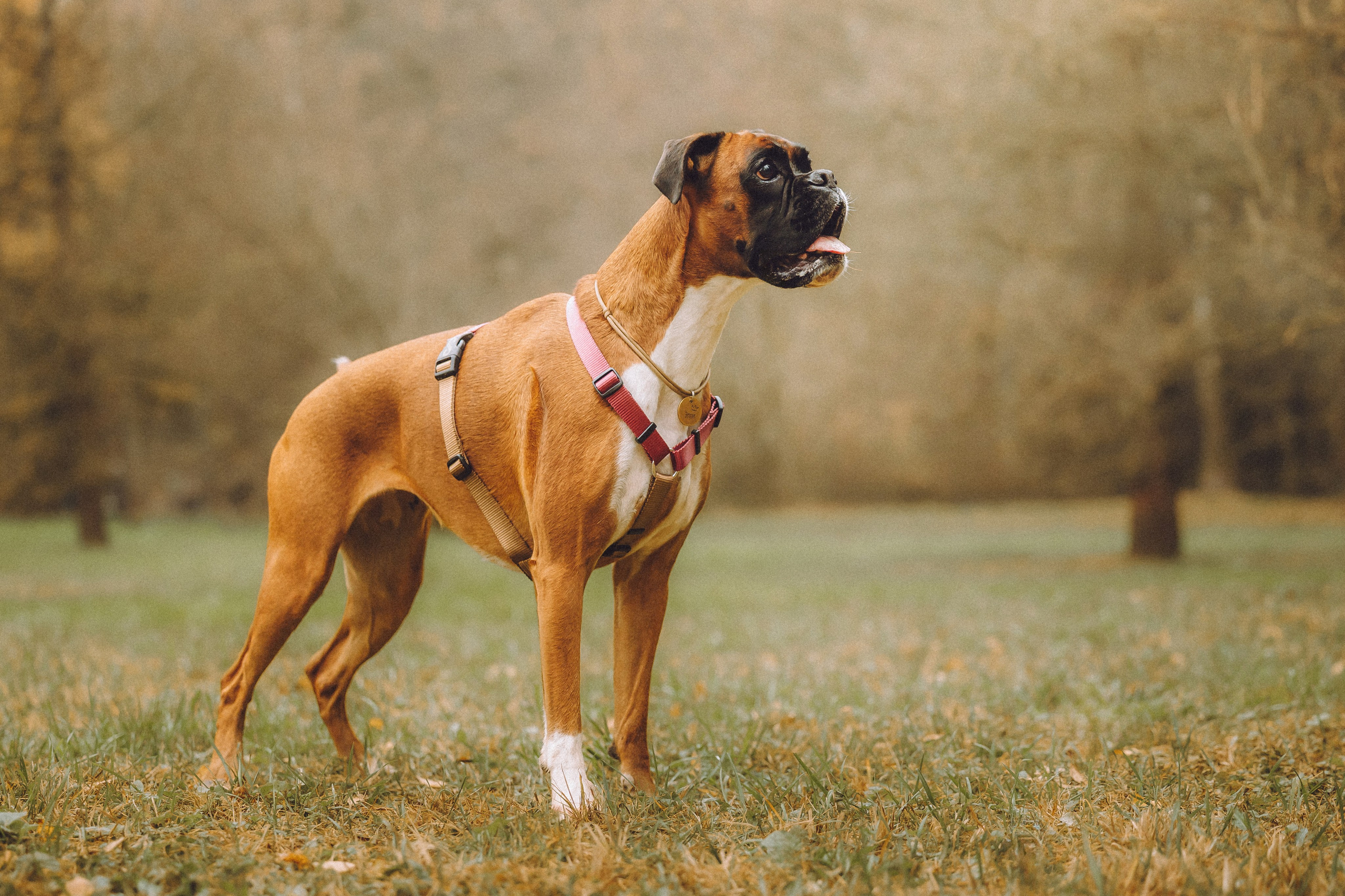 Элли и ее семья