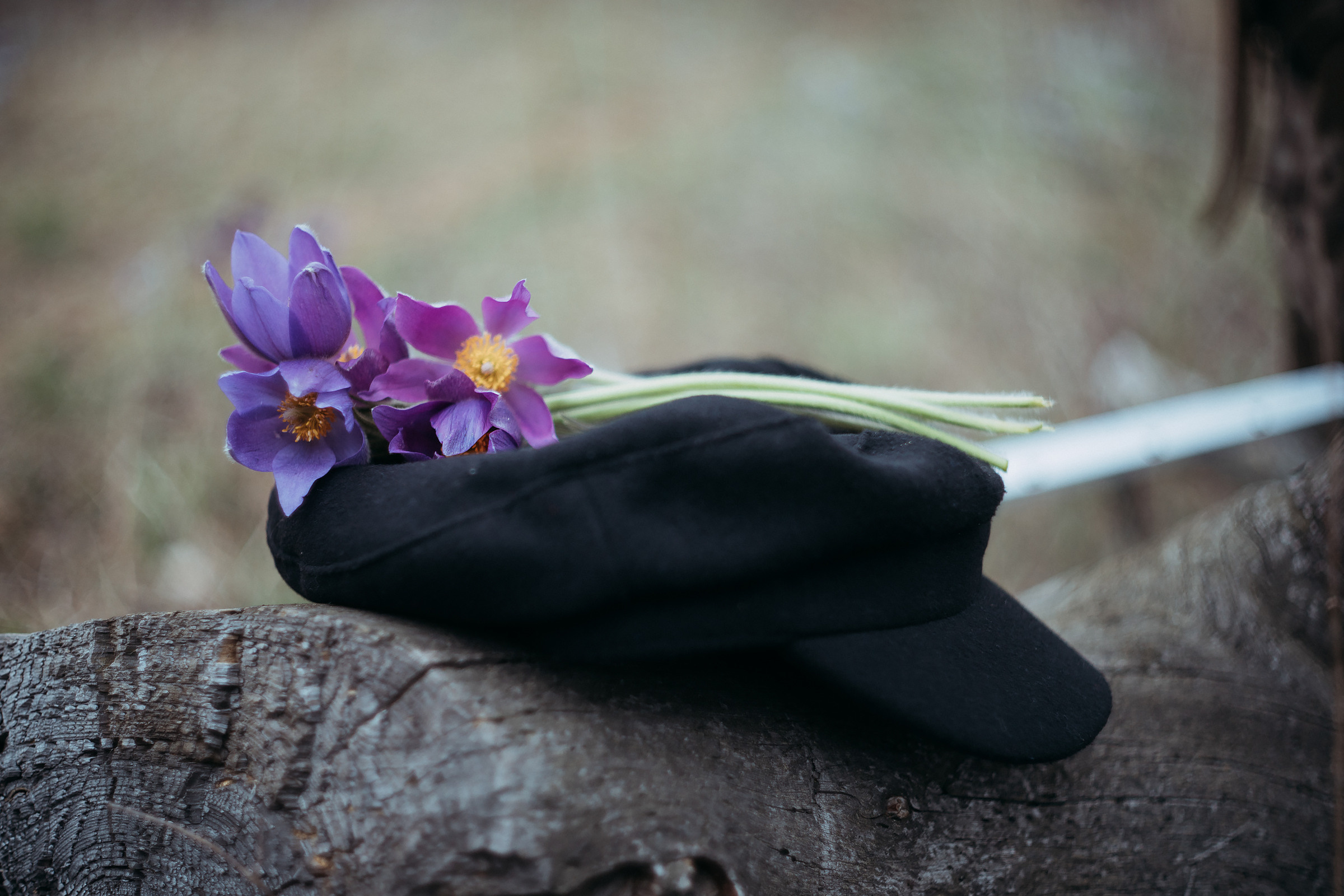 Vlad & Anna. Фотограф Ксения Дзюбак Самара-Москва