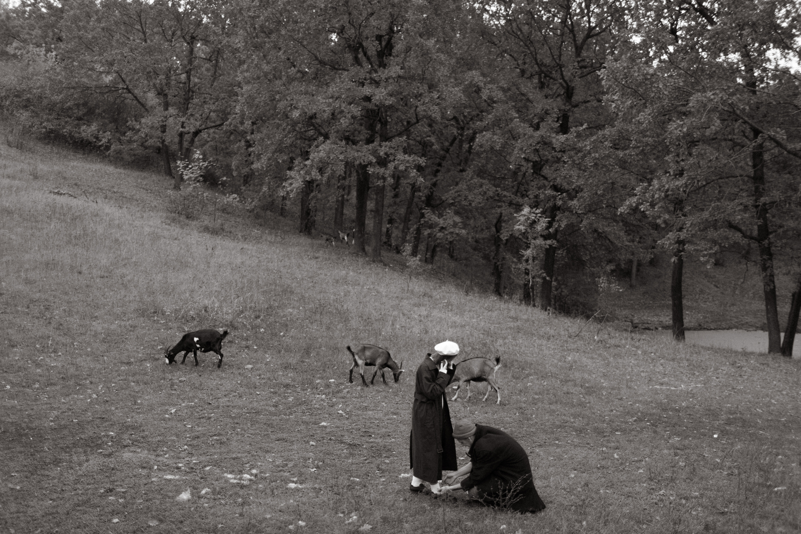 Roma & Lena. Фотограф Ксения Дзюбак Самара-Москва