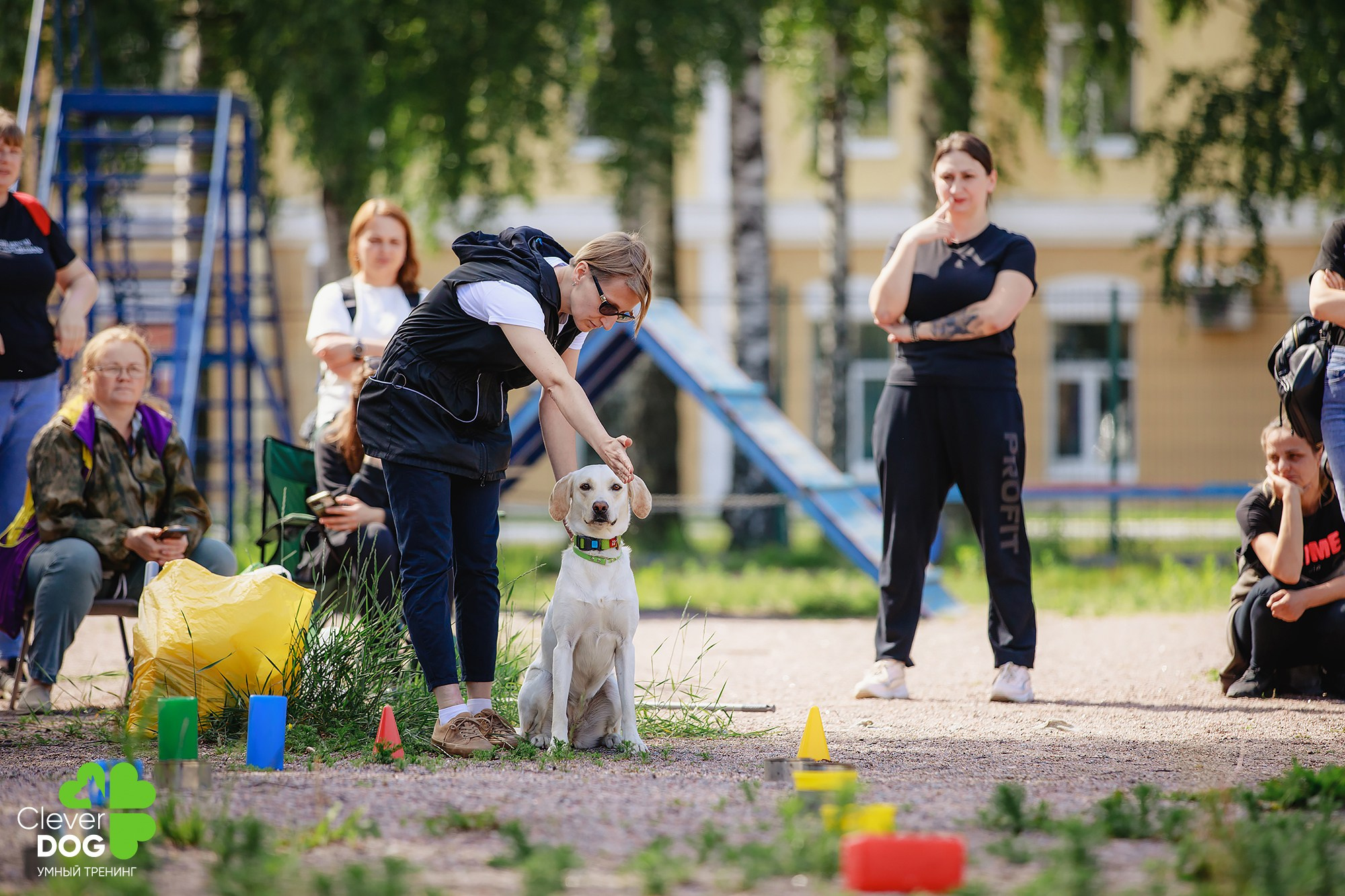 Семинар по поиску запаха с Иваном Ломовым, организатор CleverDog, СПб. Фотограф-анималист Mary Mart — Москва, Питер