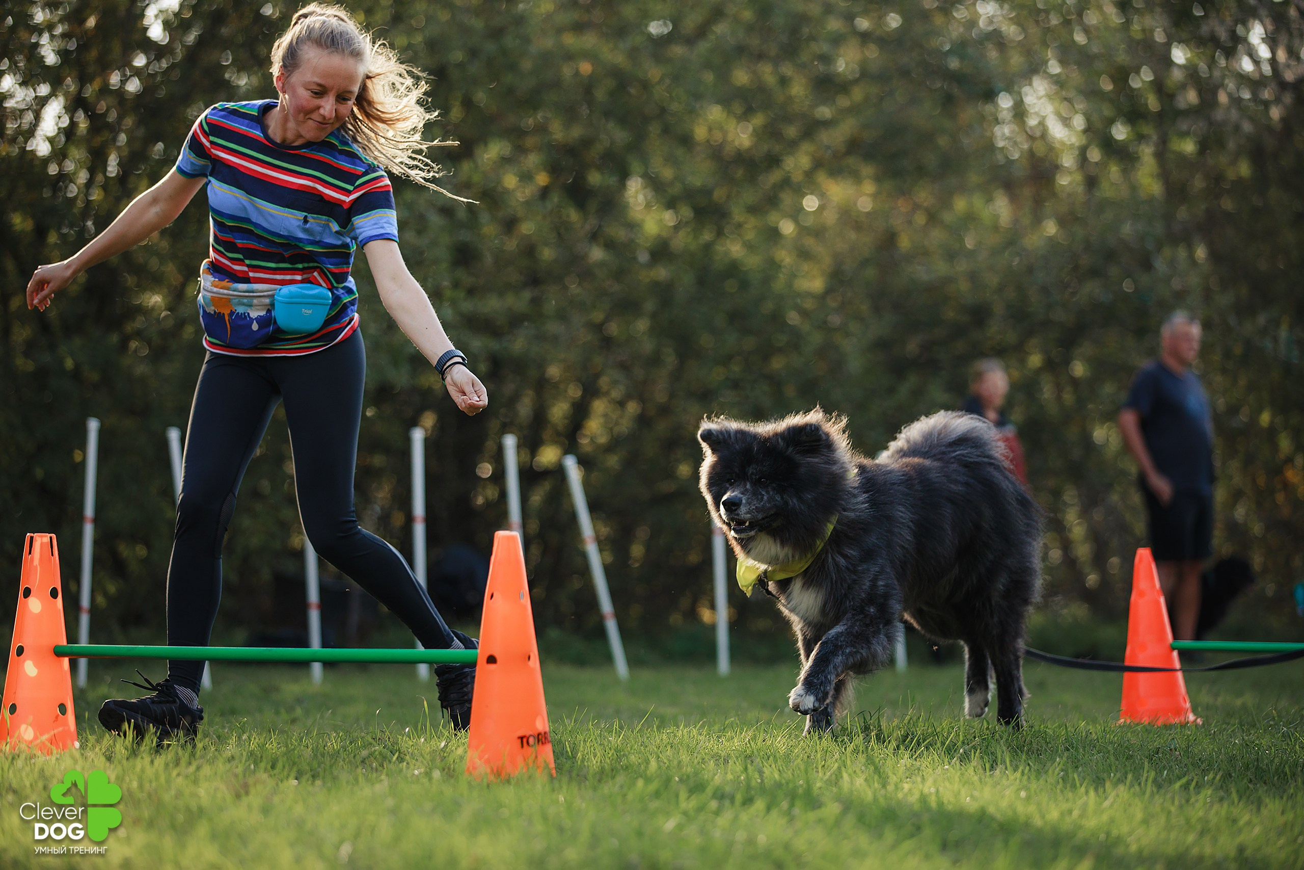 Кинологический лагерь CleverDog, 2024. Фотограф-анималист Mary Mart — Москва, Питер