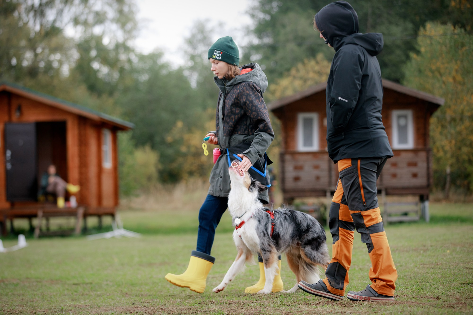 Лагерь по ОБД с Инной Баженовой. Фотограф-анималист Mary Mart — Москва, Питер
