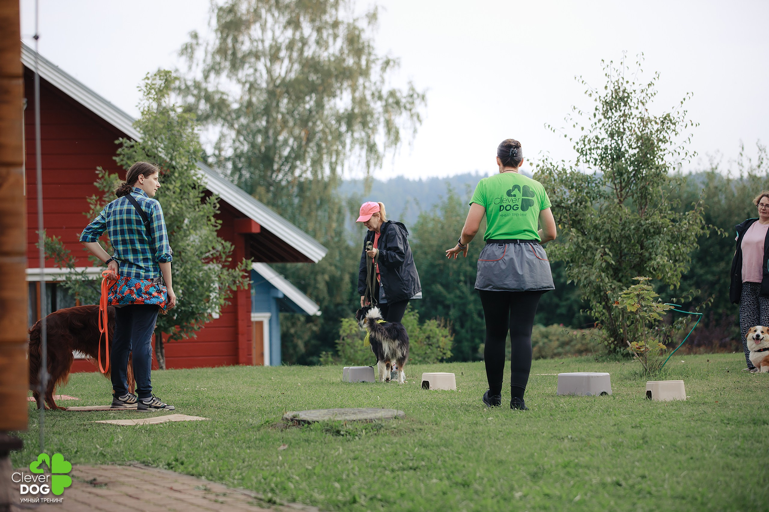 Кинологический лагерь CleverDog, 2024. Фотограф-анималист Mary Mart — Москва, Питер