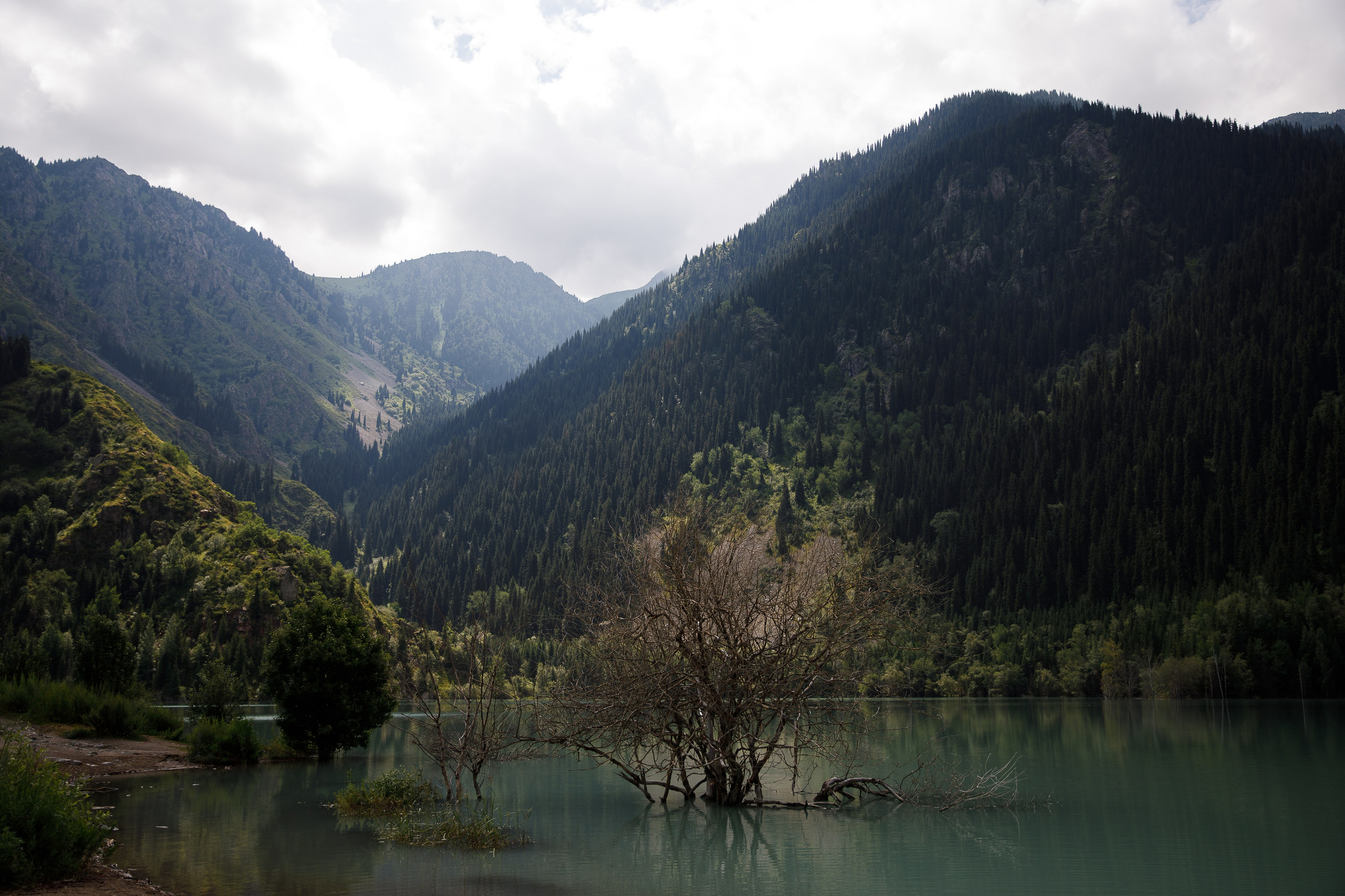 Казахстан / июль 2024. Репортажный и портретный фотограф Русакова Жанна
