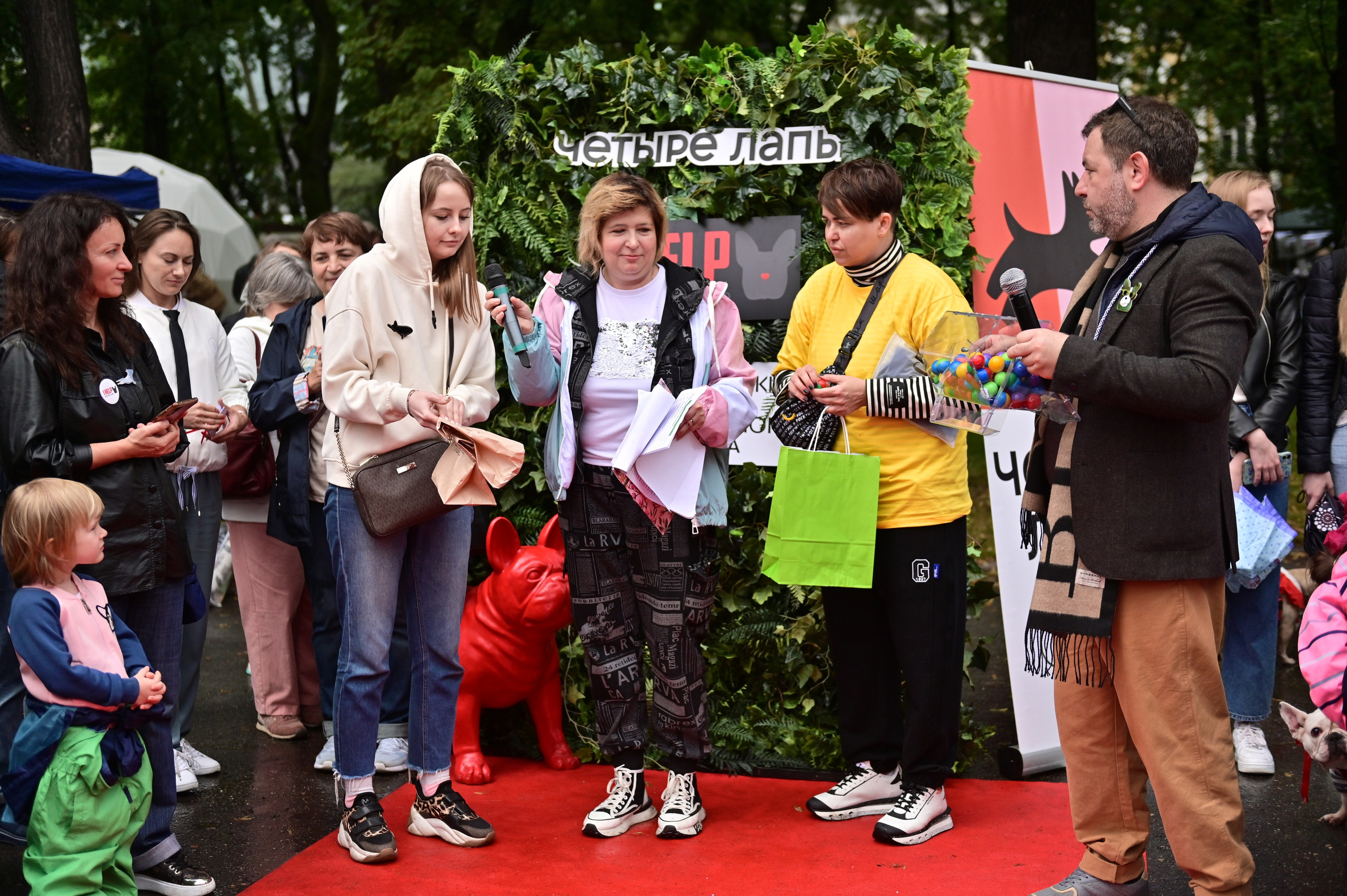 Парад французский бульдогов. Анна Пушина, фотограф, Москва, Королев, Пушкино