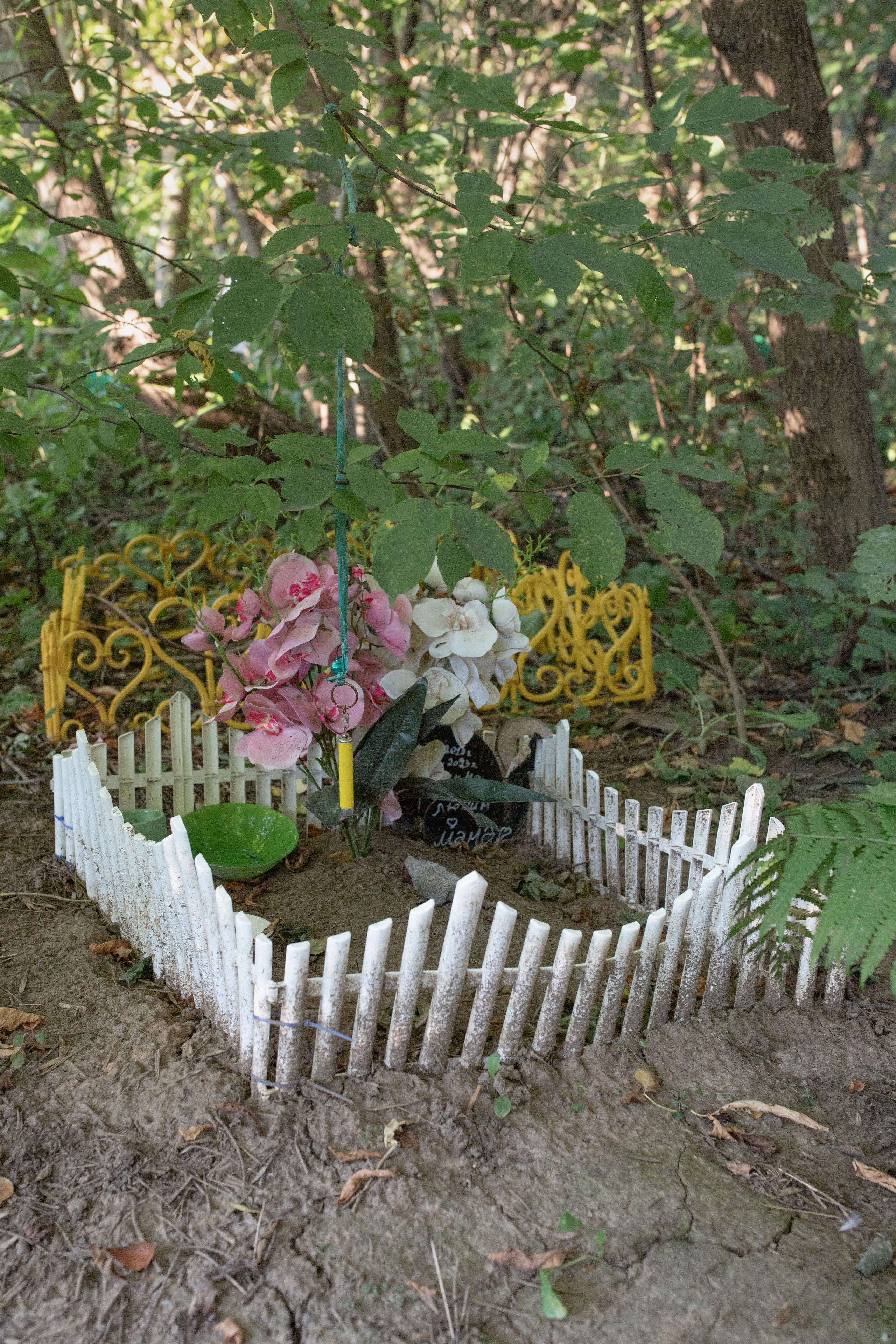 Пустота имеет место. Главная