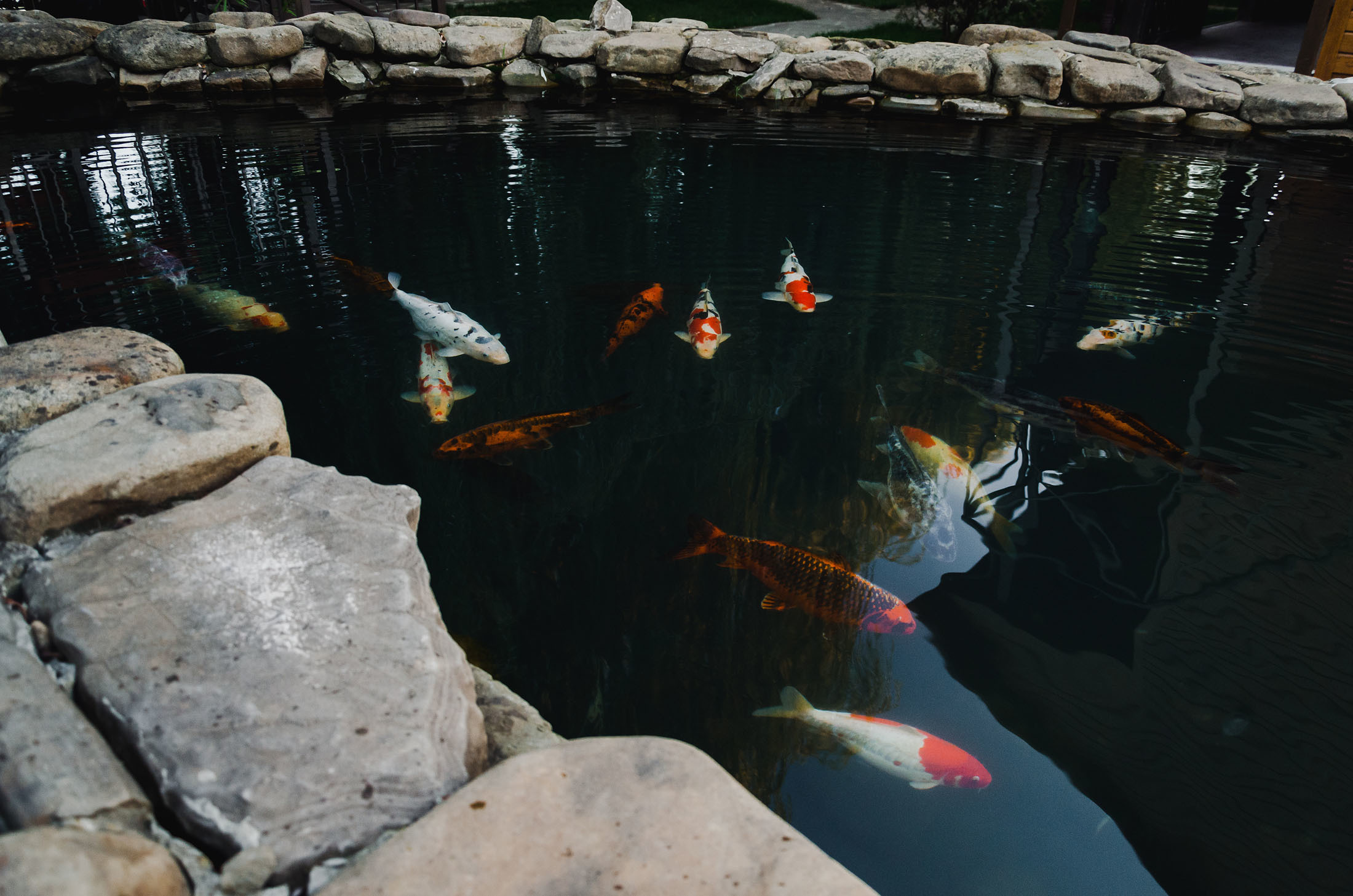 Свадебная фотосессия Москва, Свадебный фотограф Москва