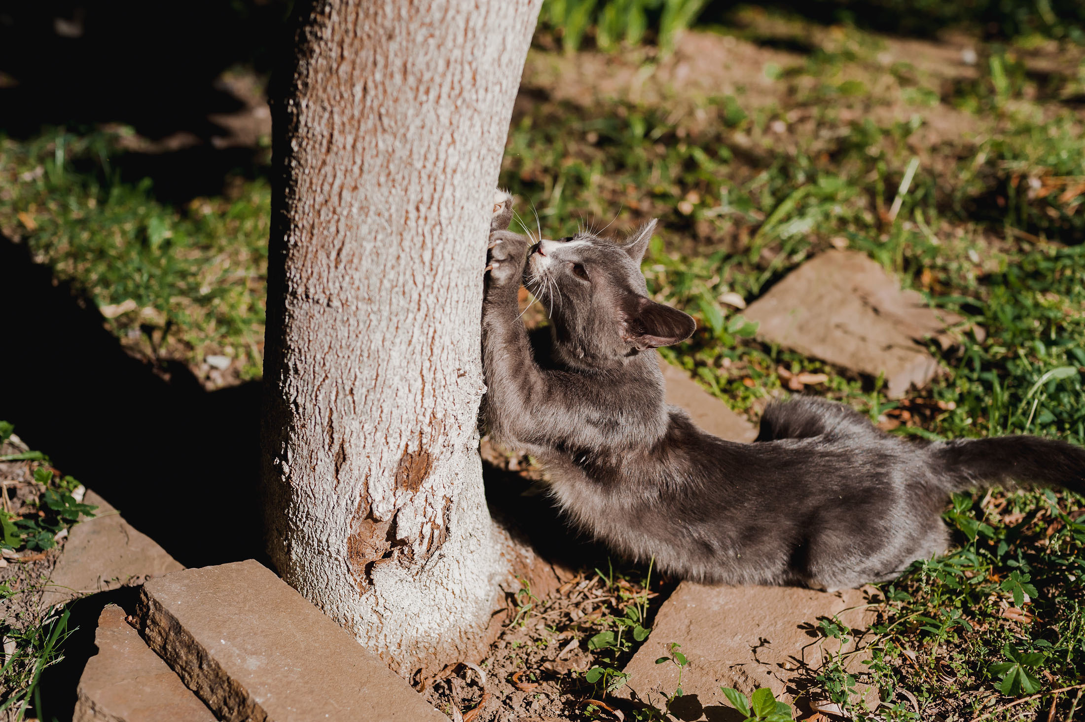 Свадебная фотосессия Москва, Свадебный фотограф Москва