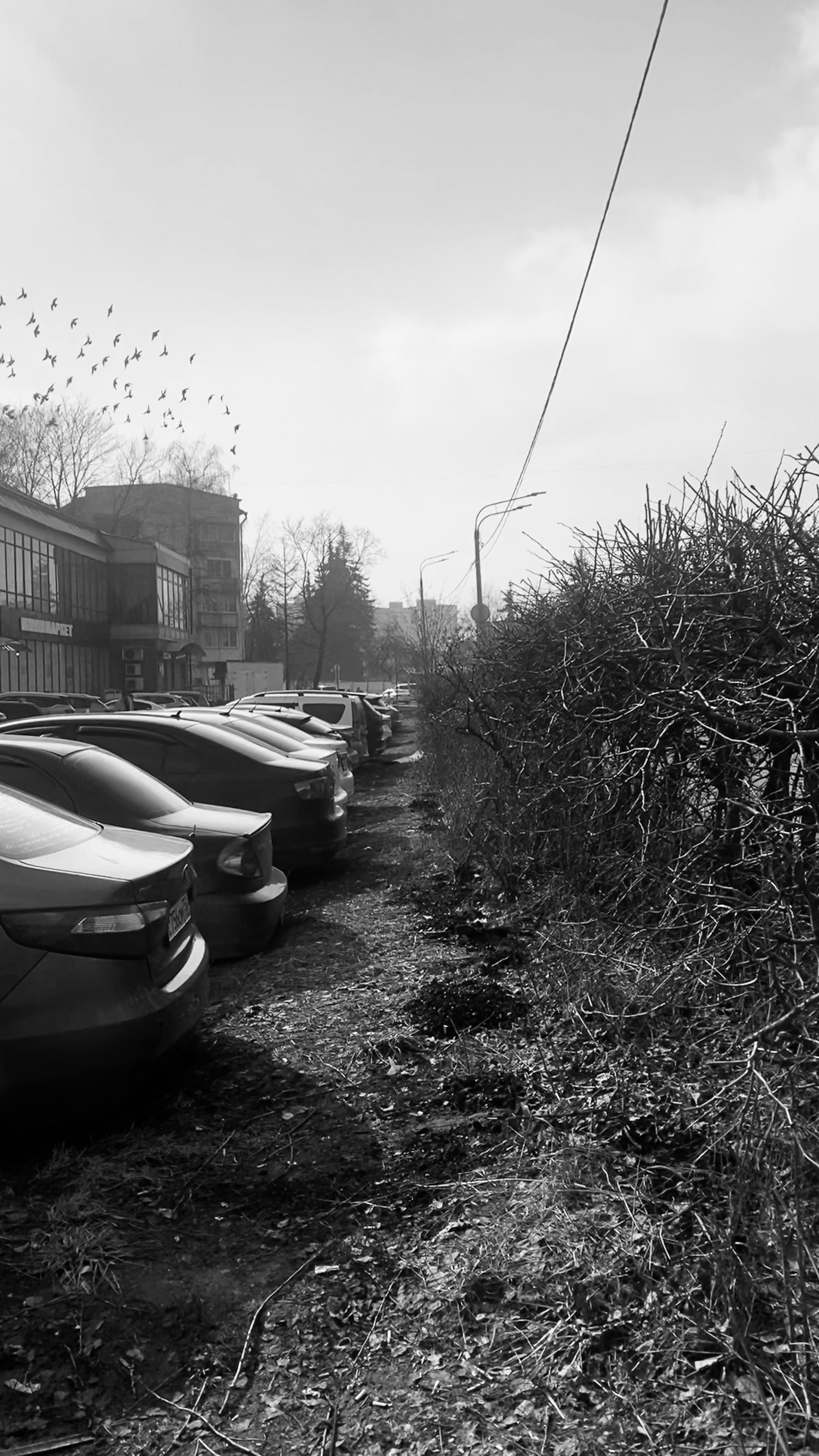 Мобильное фото. Фотограф в Москве Айгуль Евграфова