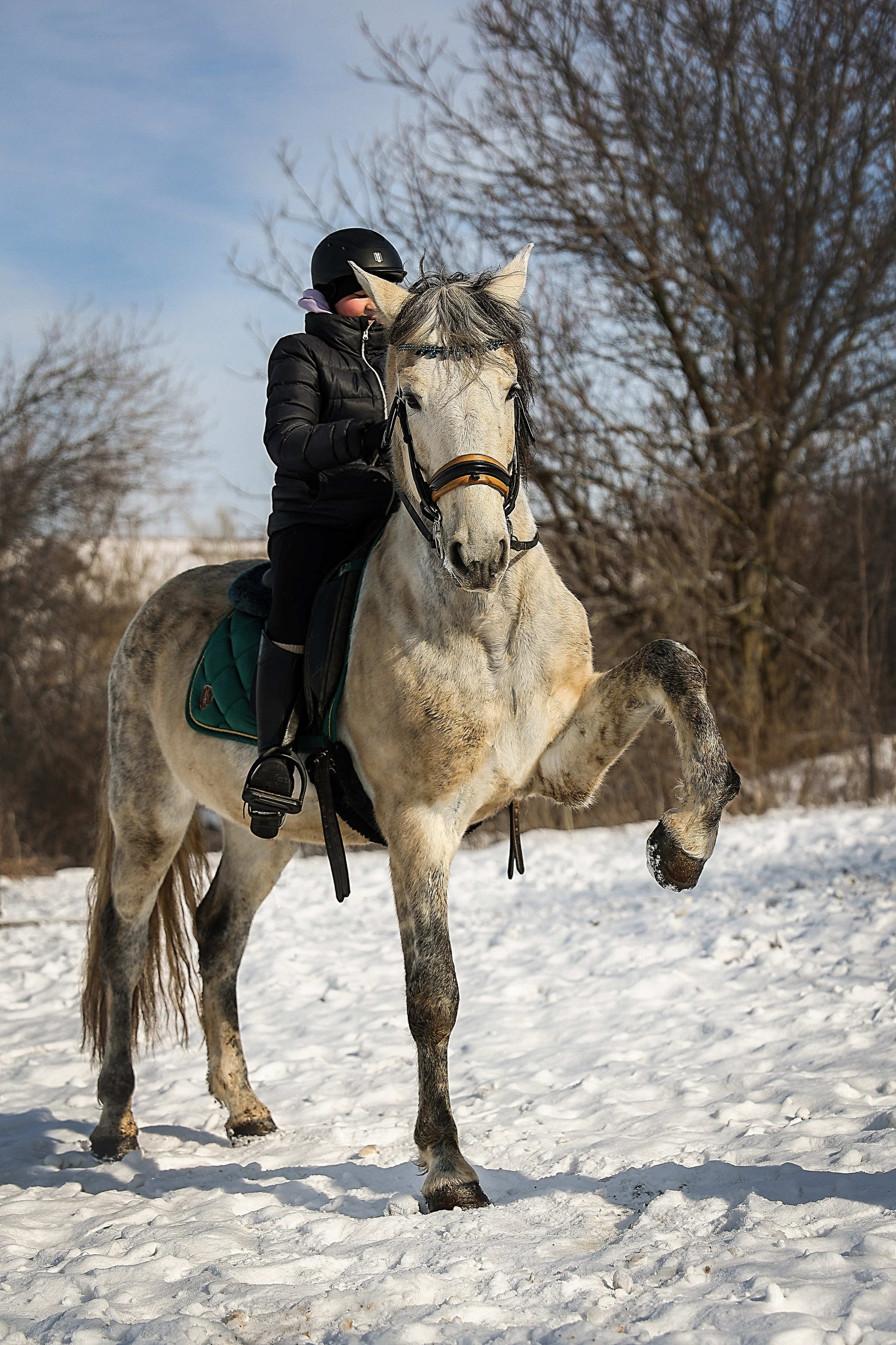 ЛОШАДИ. Фотограф-АниМалист Анна Абрамова