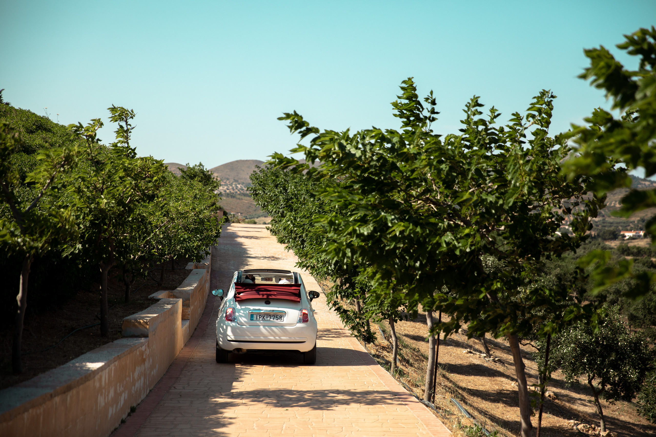 Максим & Ксения. Агентство по организации мероприятий