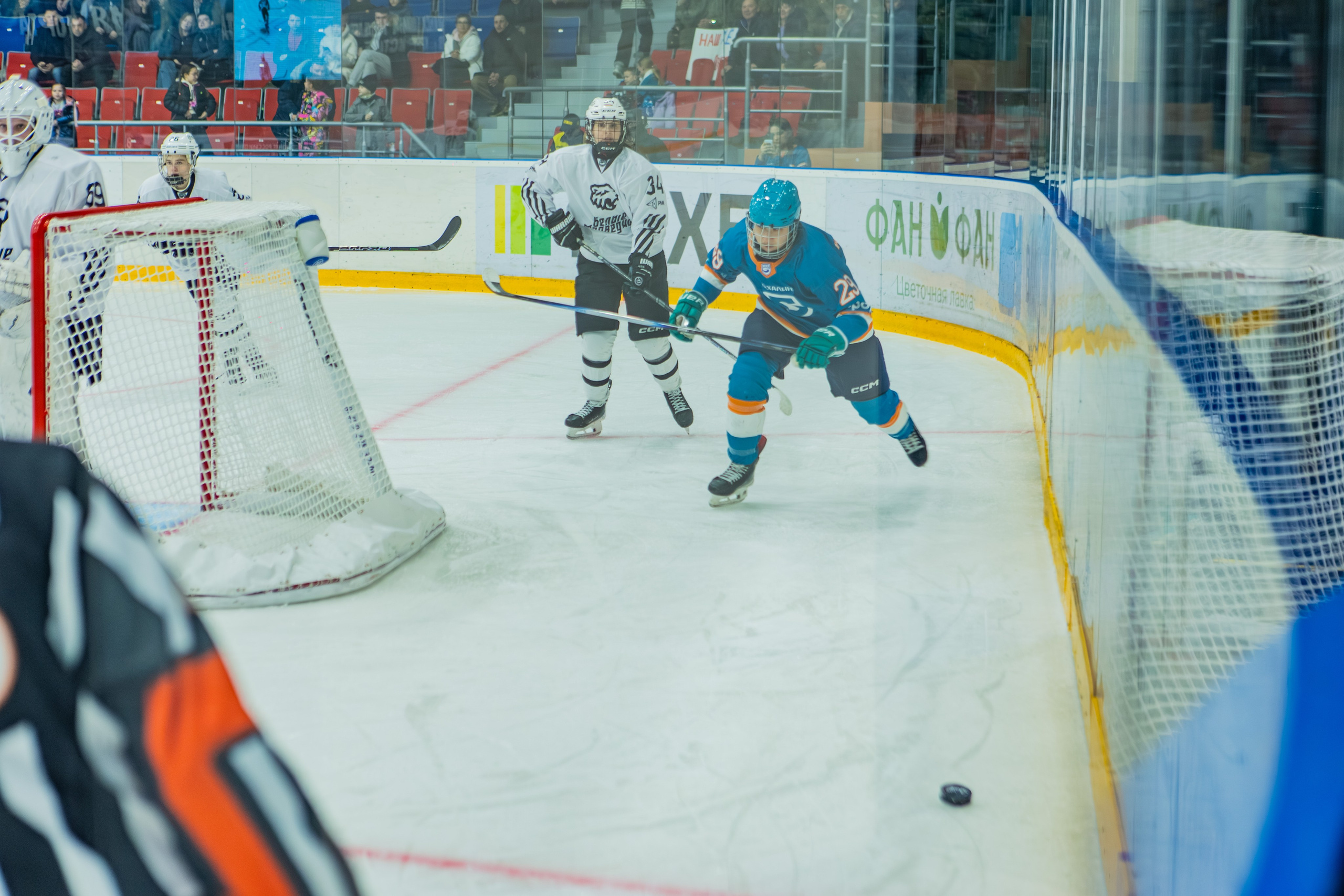 Матч «Сахалин"-"Белые Медведицы». Свадебный фотограф в Южно-Сахалинске Валерий Харченко