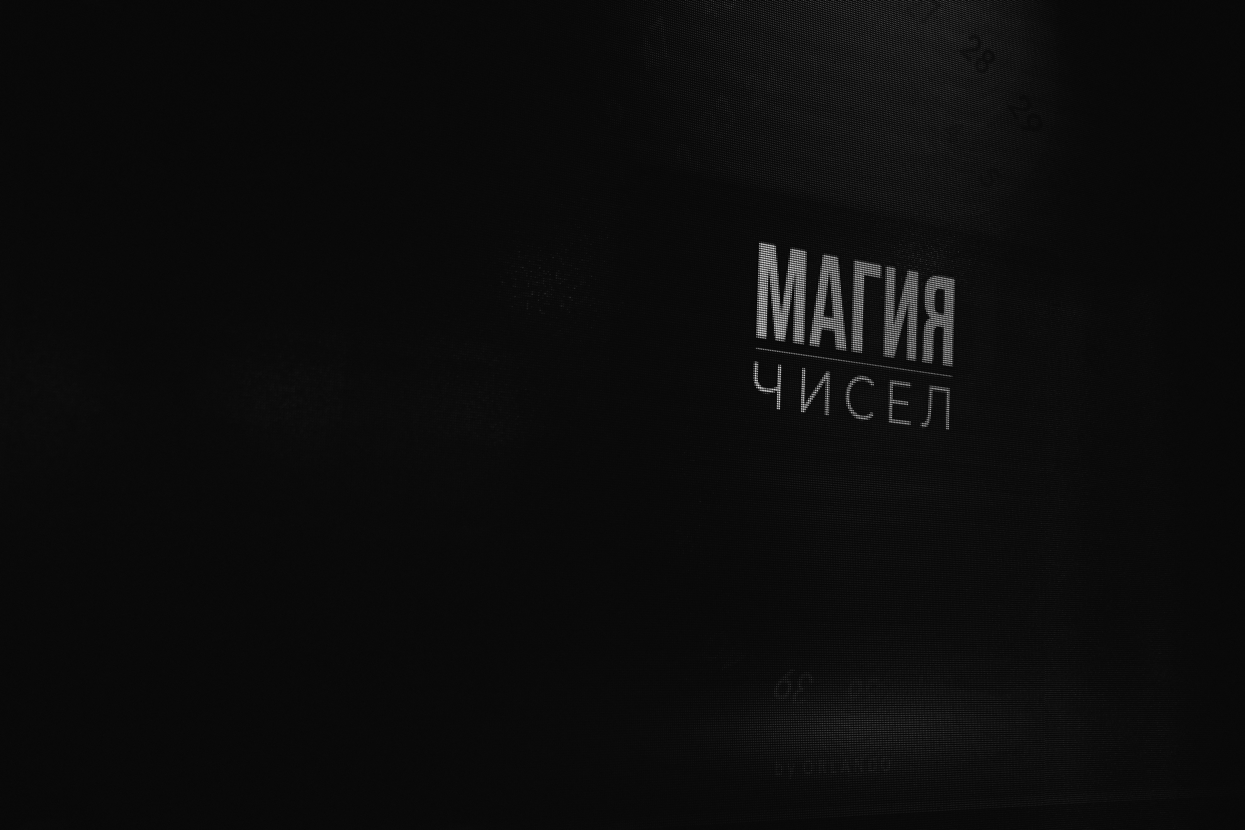 На берегу Питерского моря. Свадебный и семейный Фотограф Денис Кошель