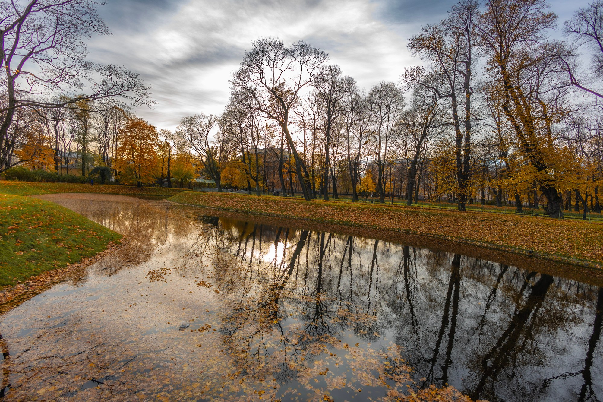 Autumn Series. Самид Али, фотограф из Санкт-Петербурга, Россия
