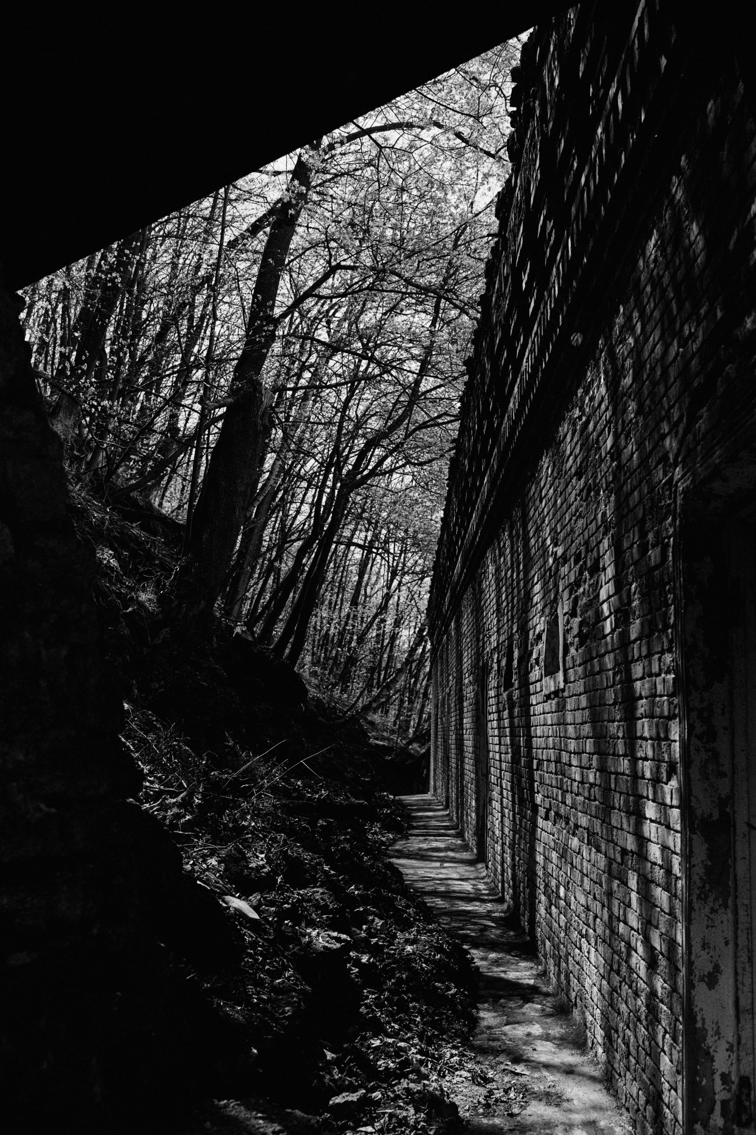 BAON x Кудыкина Гора. Фотограф Сурков Никита